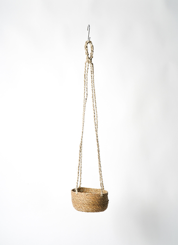 すなぎも　パキ坊 &パキポン鉢付き　9500円 ハンギングポット ホグラ草 バスケットハンギング LB 3号鉢用 #FARM