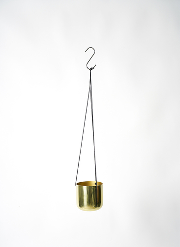 hanging-raquel-1_1.jpg?1670206640