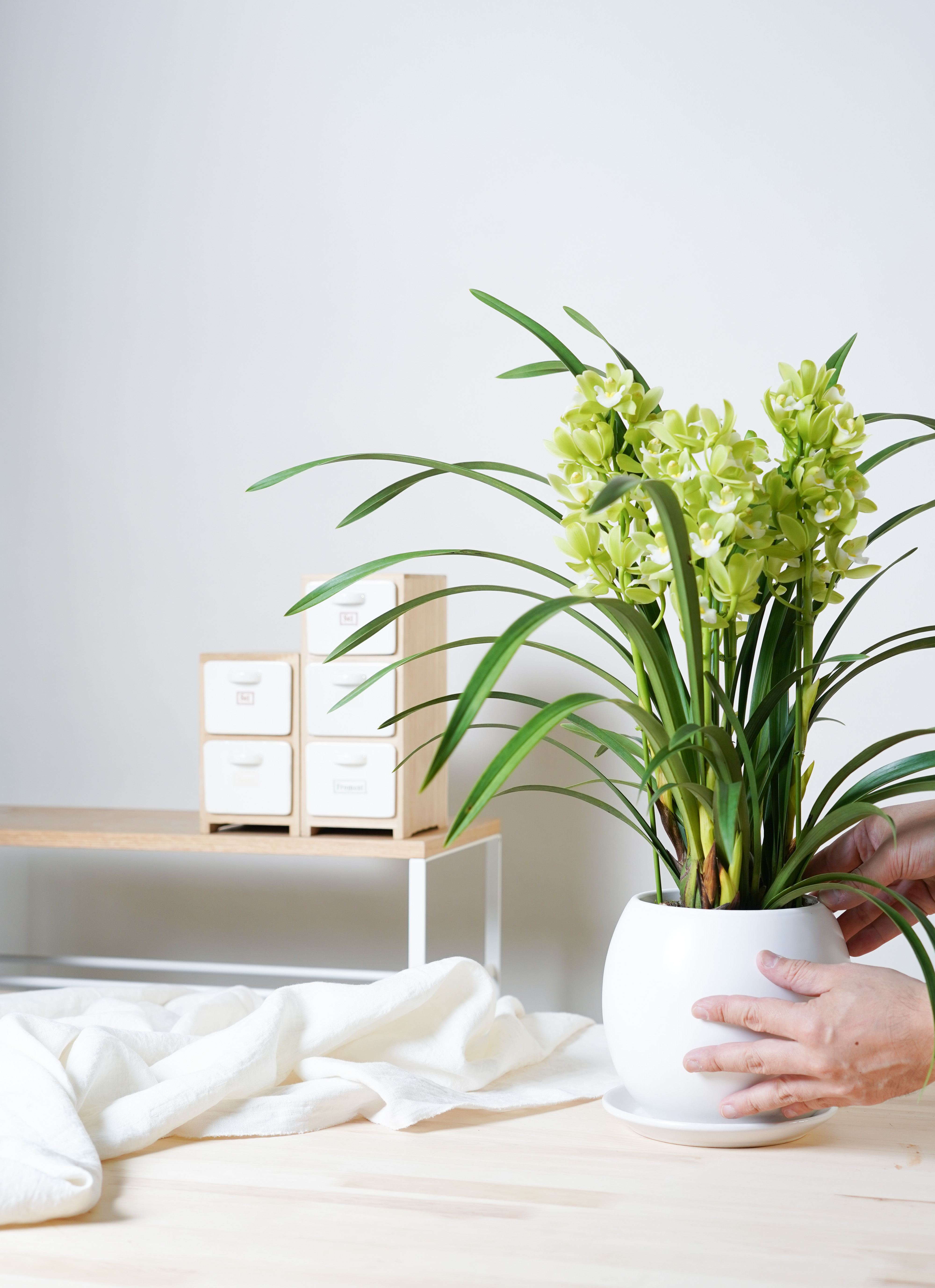 専用】クレイフラワーイエローシンビジウム 3本立ち鉢植え 樹脂粘土