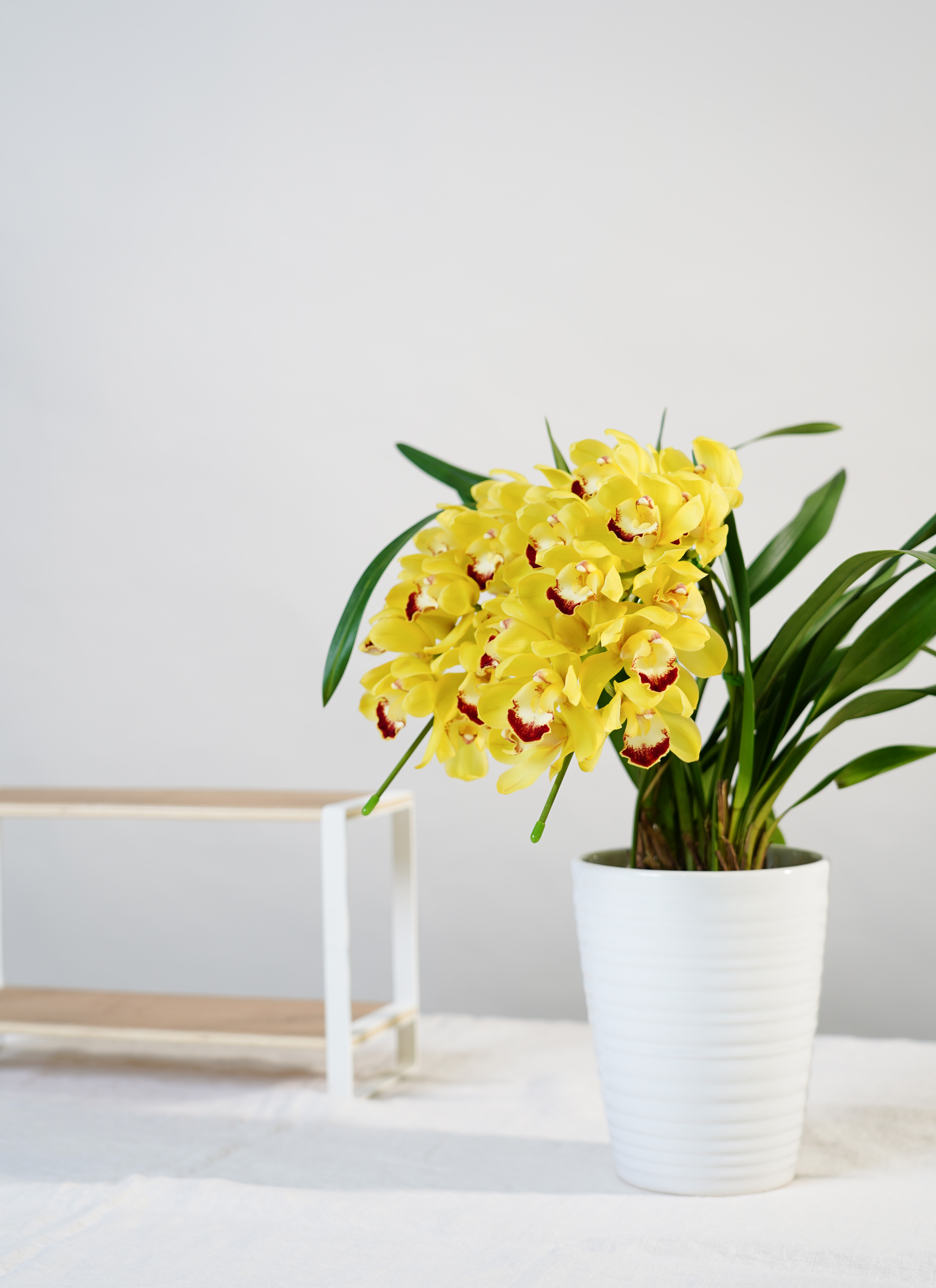 イエローキャラクター花瓶 陶器製 イエローキャラクター花瓶 陶器製 Amazon.co.jp: 陶器製の花瓶5