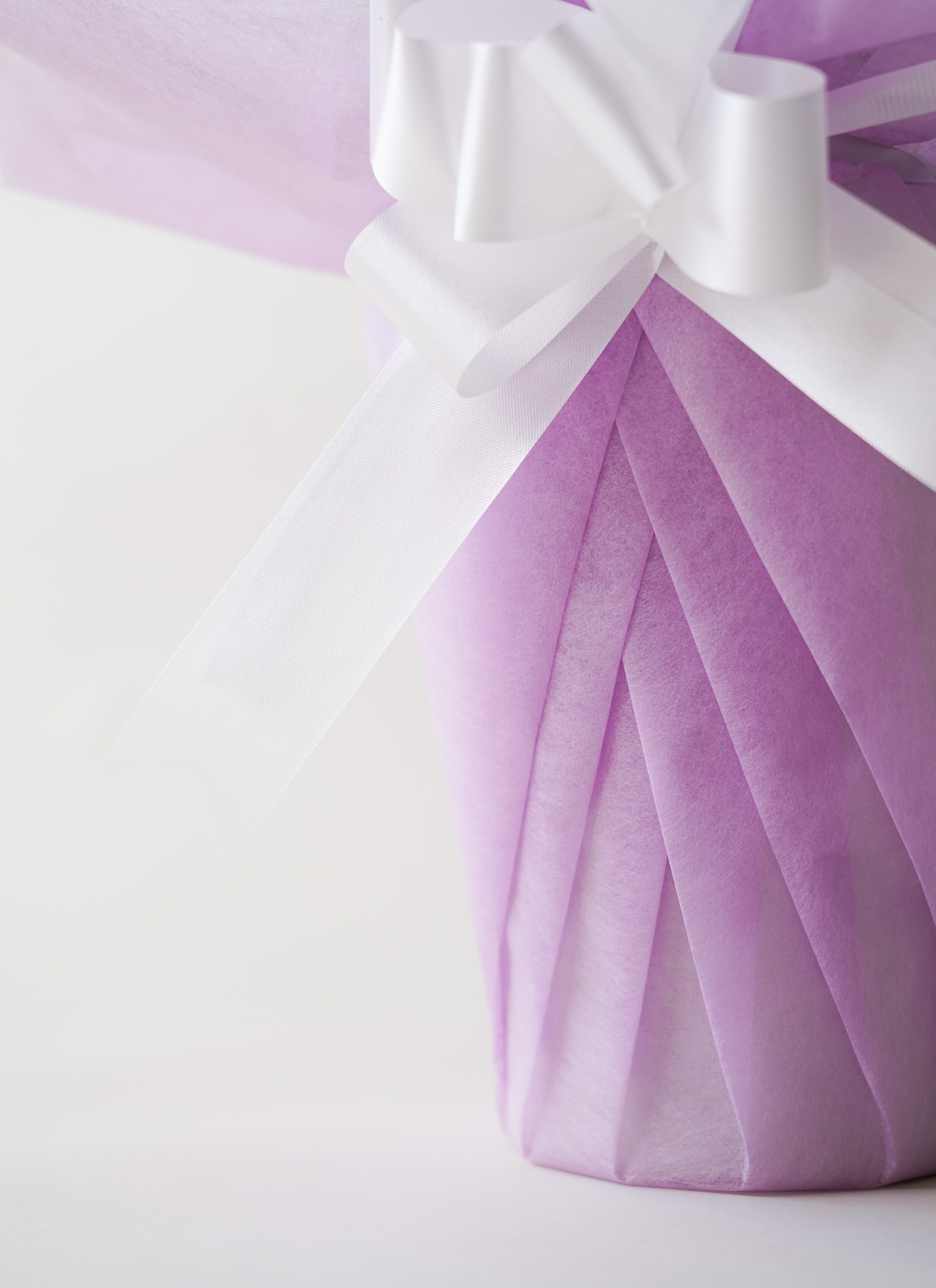 カトレア ピンク 3輪 | カトレアならHitoHana(ひとはな)