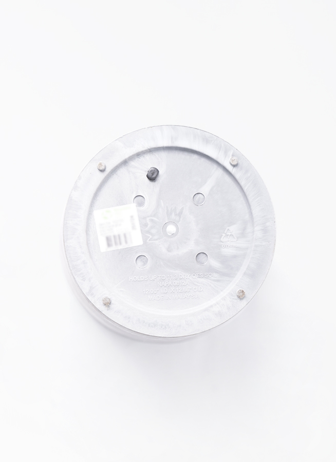 観葉植物 ガジュマル 8号 アートストーン ラウンド グレー 付き