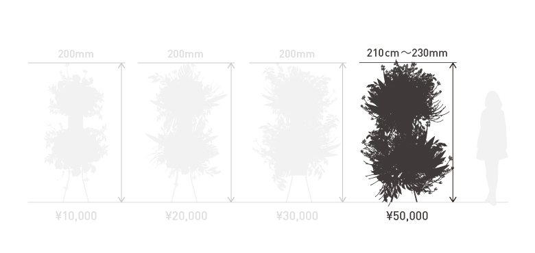 50000円 2段タイプ