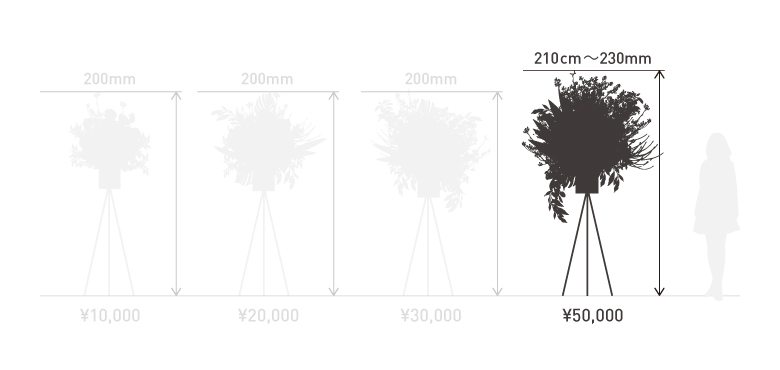 50000円 1段タイプ