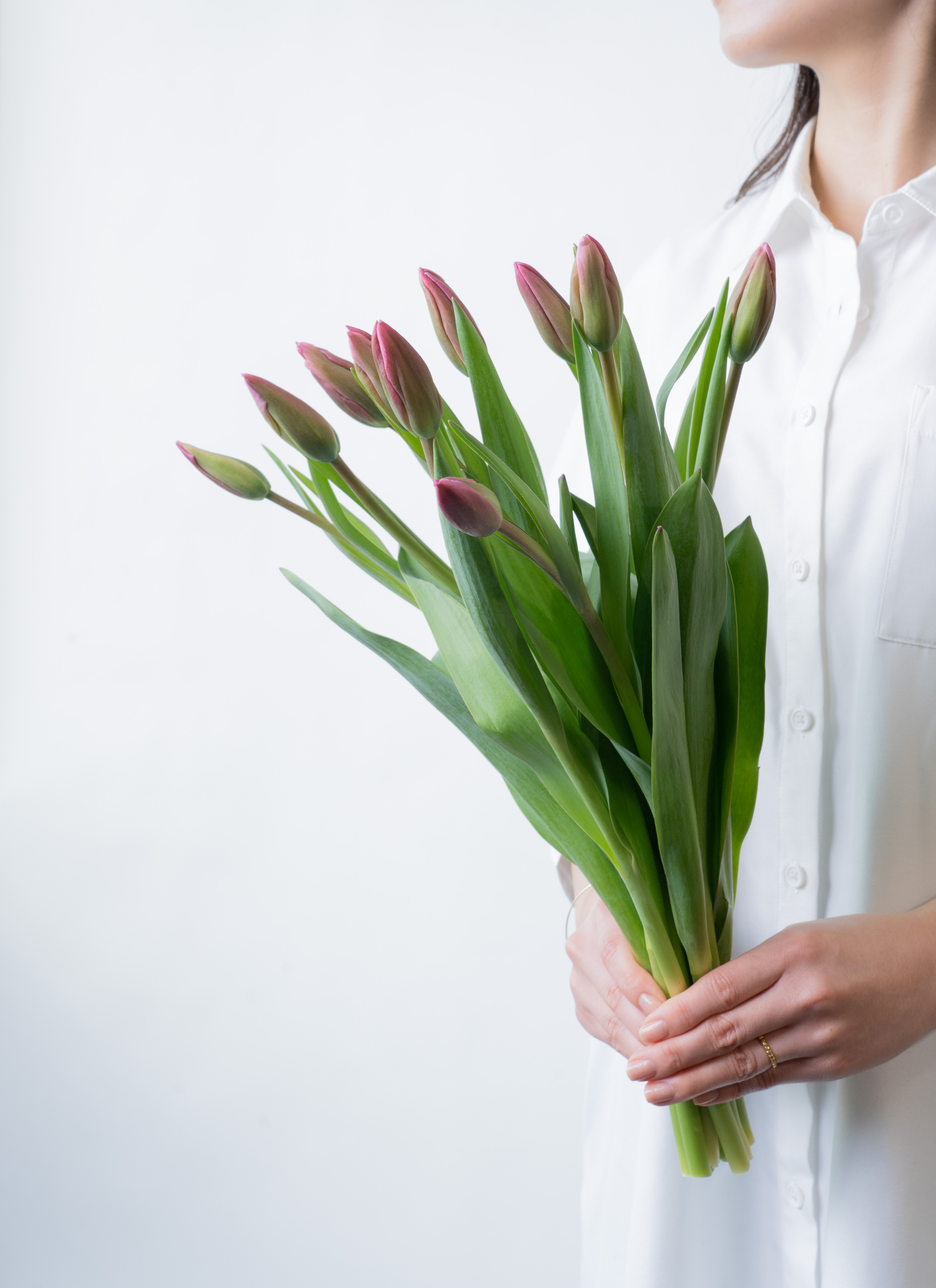 産地直送 フラワーファームしろねのチューリップ・カラー | お花の通販