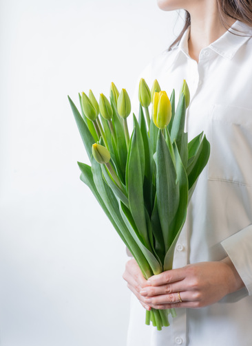 ds-ssf-tulipa-yellow-1_1.jpg? ds-ssf-tulipa-yellow-1_1.jpg?