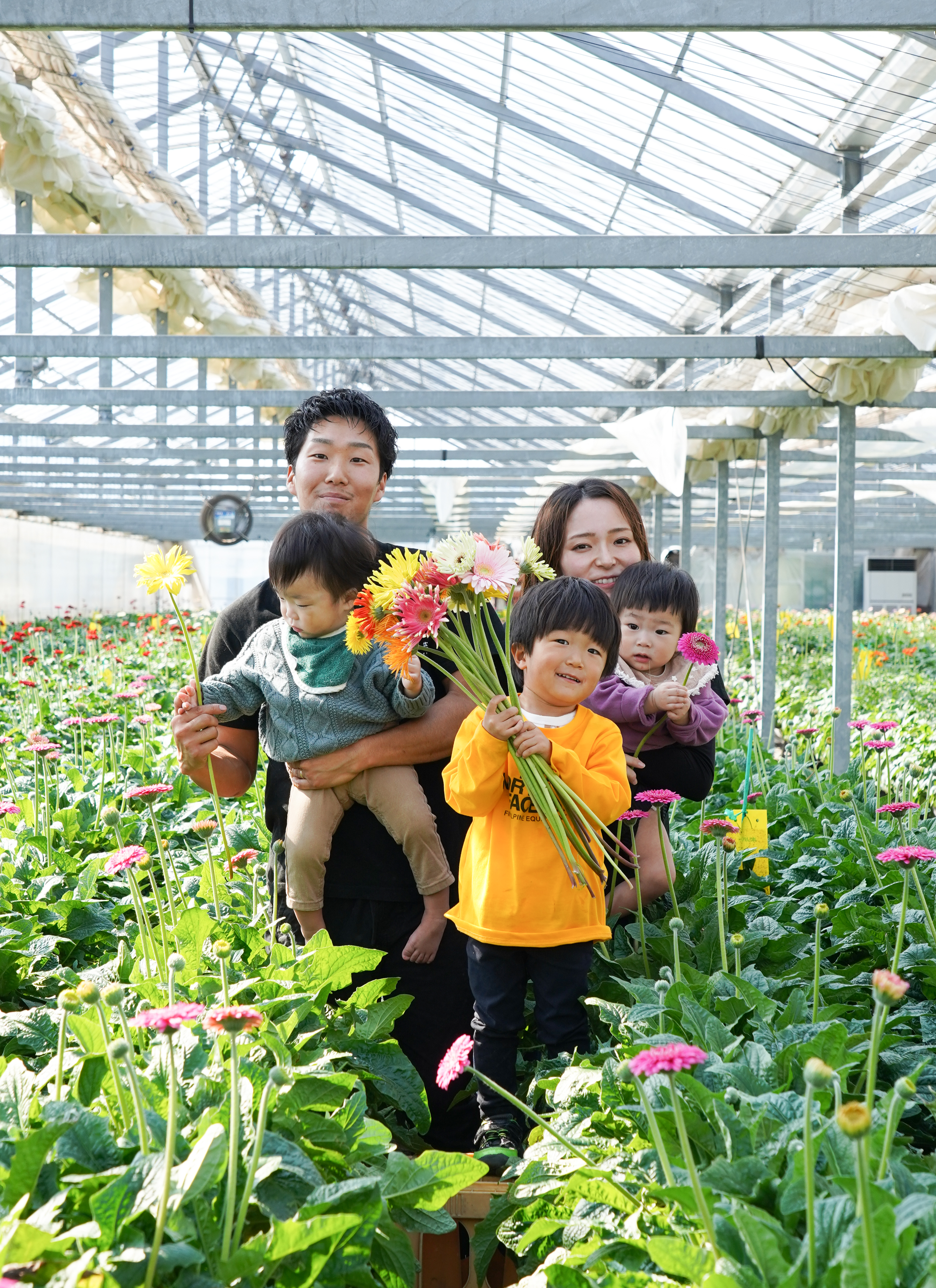 産地直送 ガーベラ ホワイト 5本花束／静岡 松下園芸からお届け