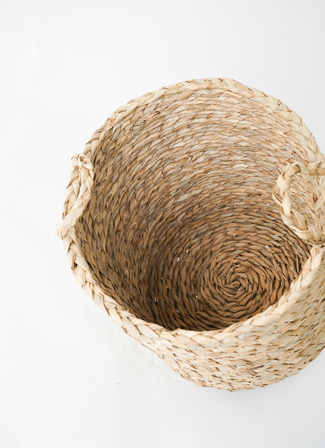 観葉植物 オリーブの木 9号 創樹 LushBasket (ラッシュバスケット