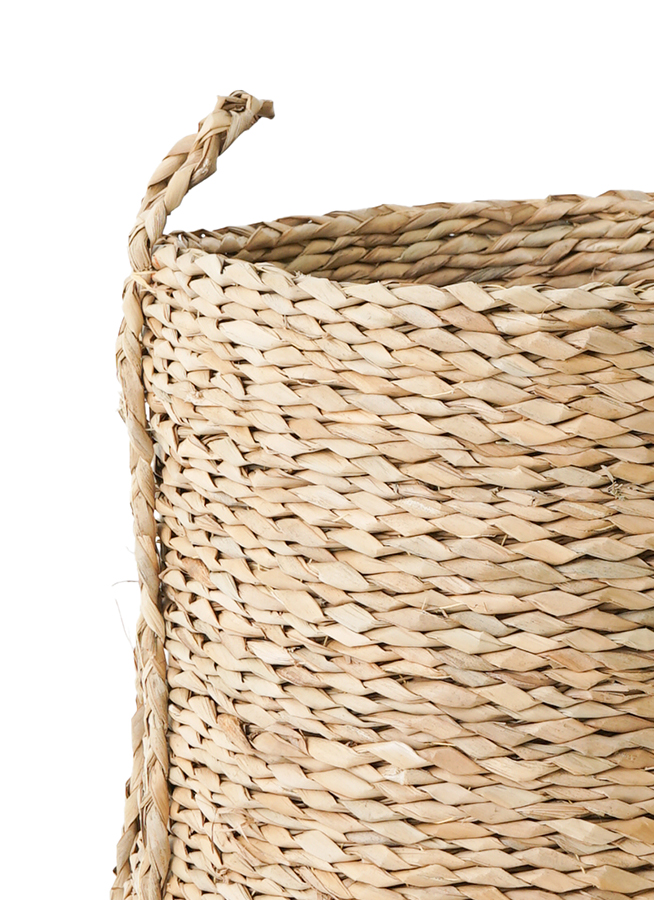 stem Lush Basket B8211 懸崖10号鉢用 天然素材バスケット 観葉植物 ソテツ 10号 LushBasket(ラッシュバスケット) 付き | 観葉