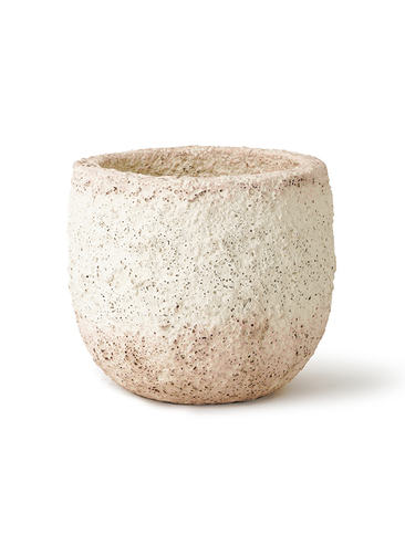 coral-pot-6_1.jpg?1678151294