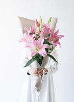 ds-ytz-oriental-lily-pink-