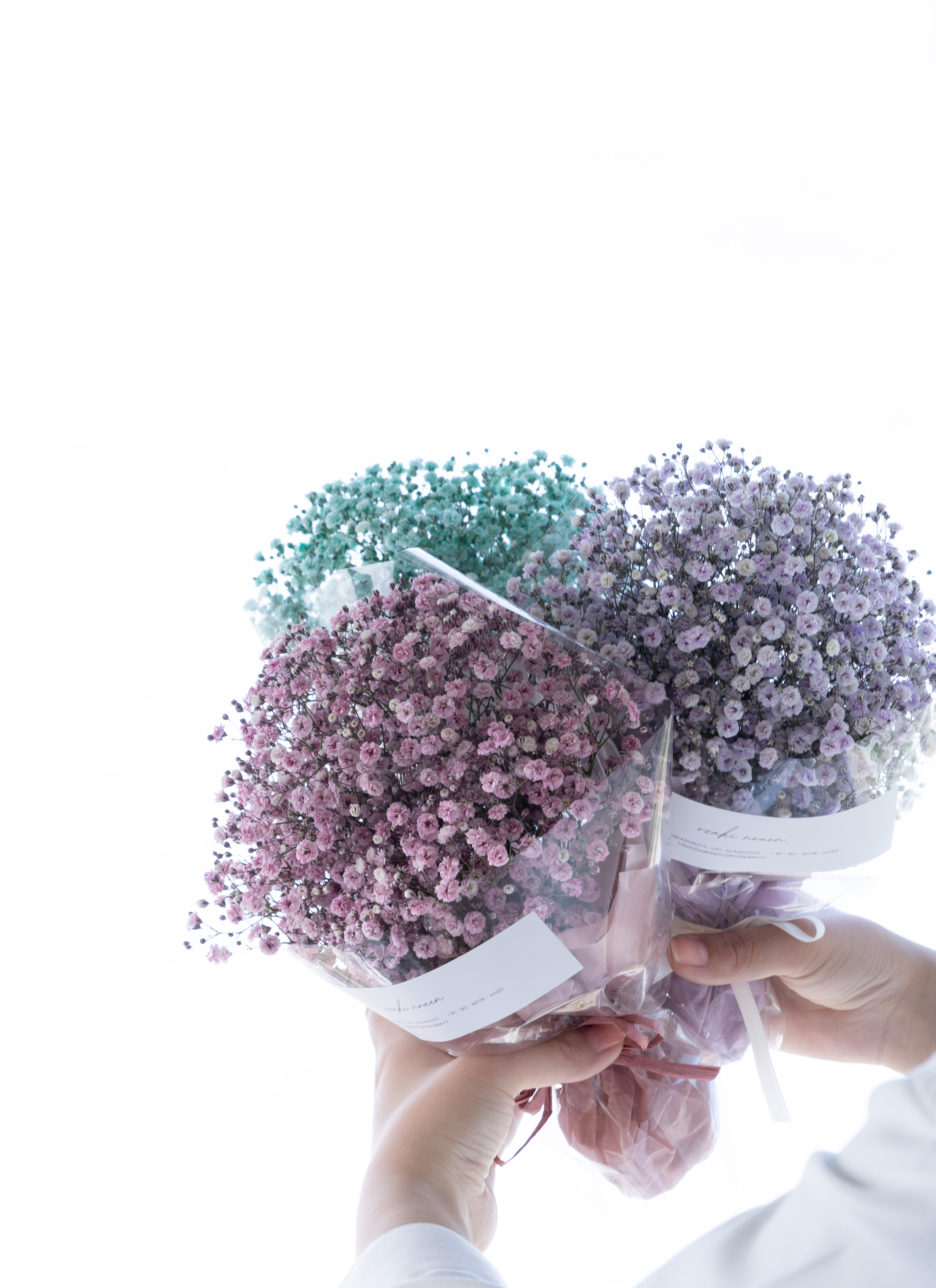 【かすみ草】 自分で植える】カーペットかすみ草のリース花苗セット（東京発送