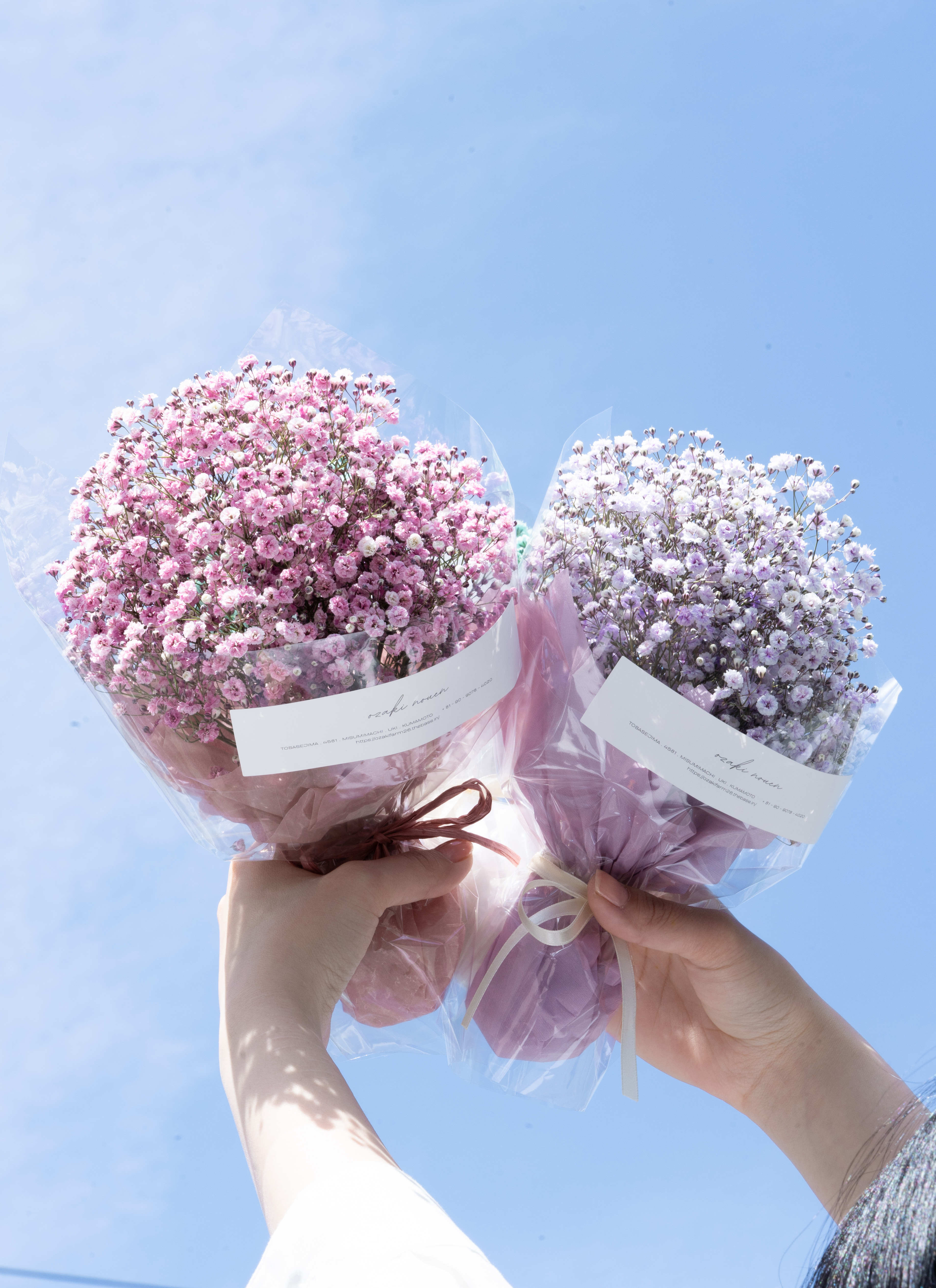 【かすみ草】おまとめ2点 産地直送 かすみ草花束 ホワイト／福島 hinatabaからお届け