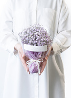 ds-ozk-gypsophila-1_9901.jpg?