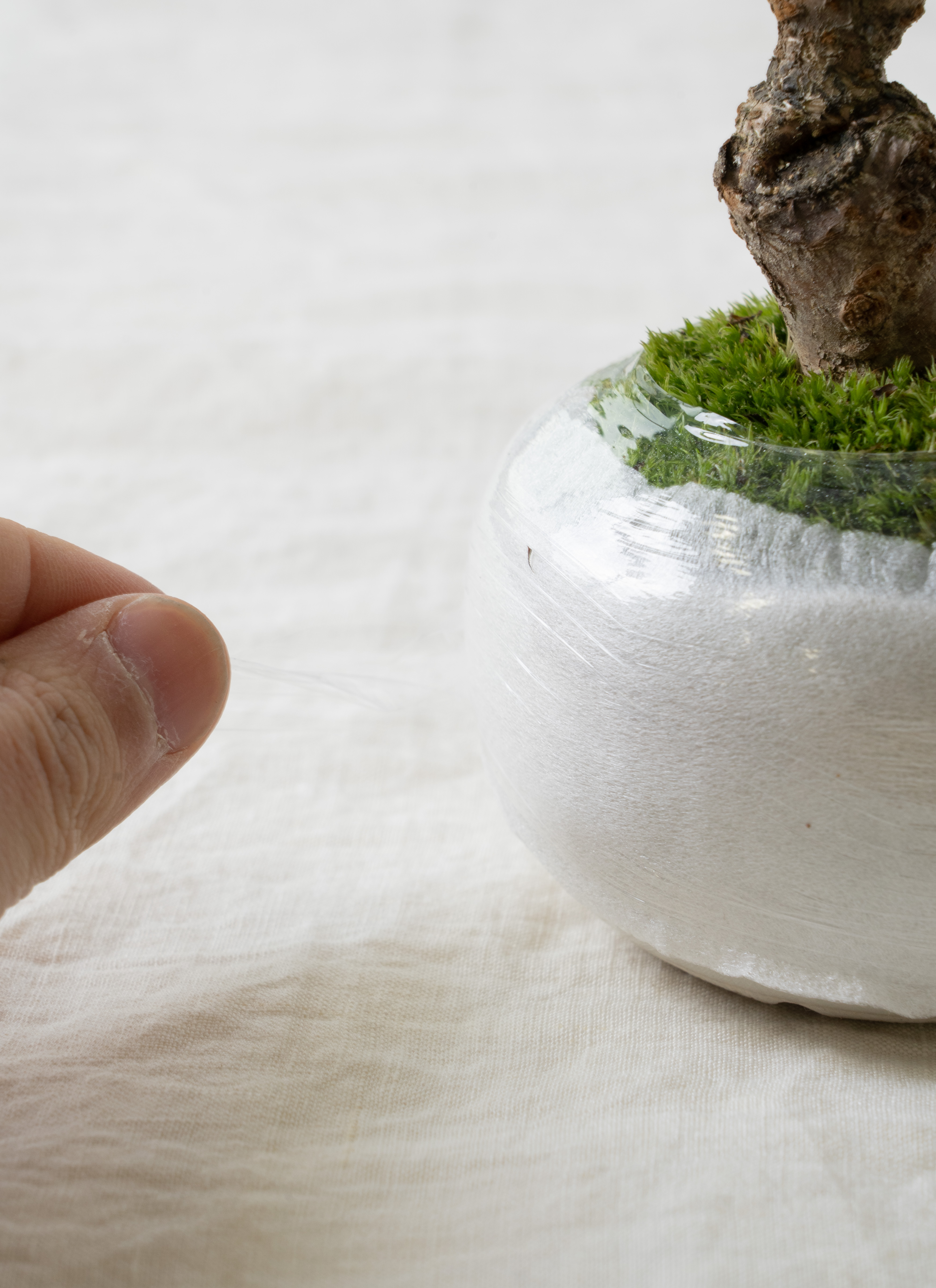 産地直送 ニレケヤキ Mサイズ 鉢色 淡藤／山形 石木花からお届け