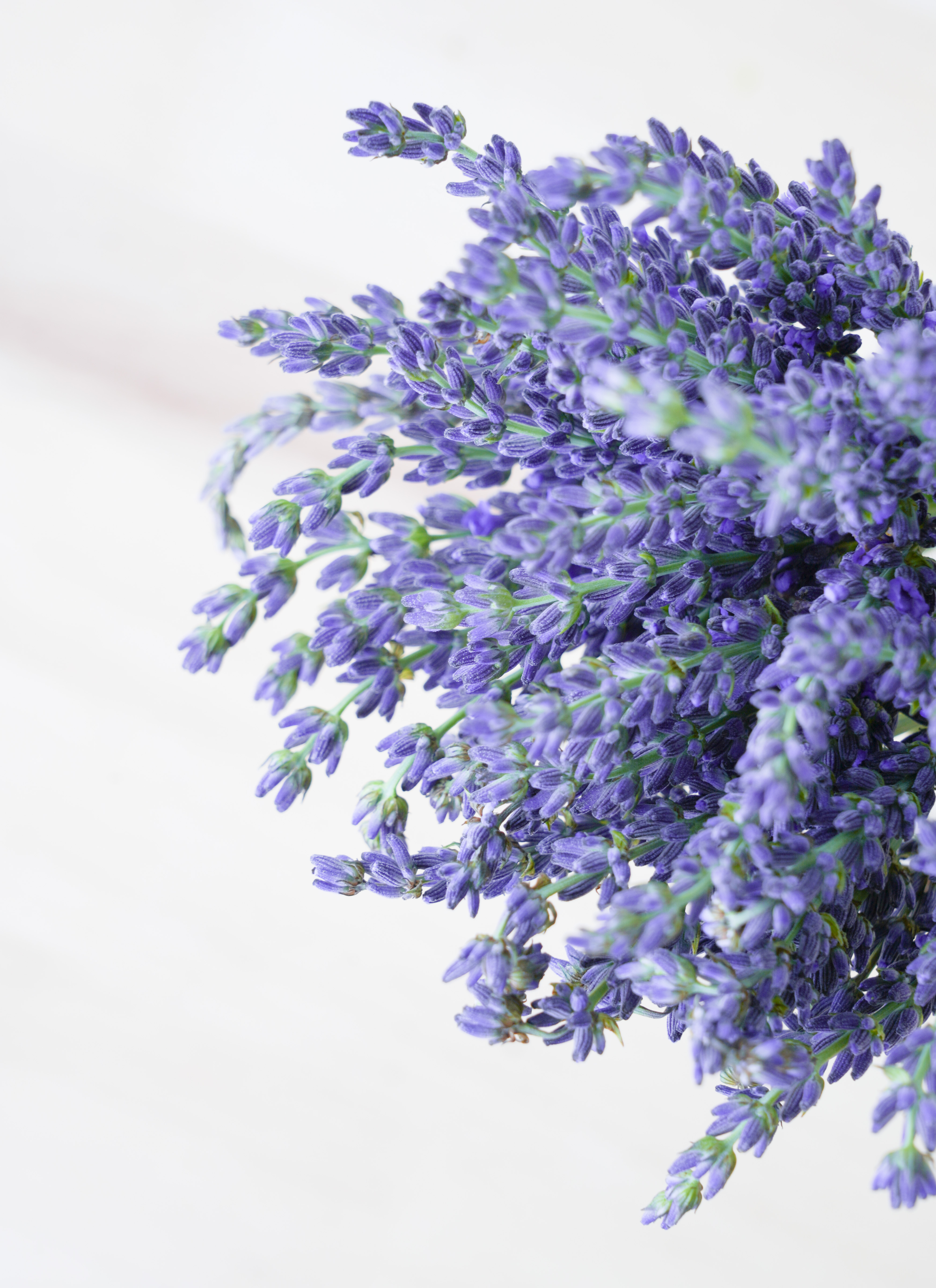 専用　すずらん　ブライダルベール　ラベンダー　クレイフラワー クレイフラワー（スズラン） | iichi 日々の暮らしを心地よく