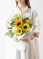 summer2-bundle-orange-1_9901.