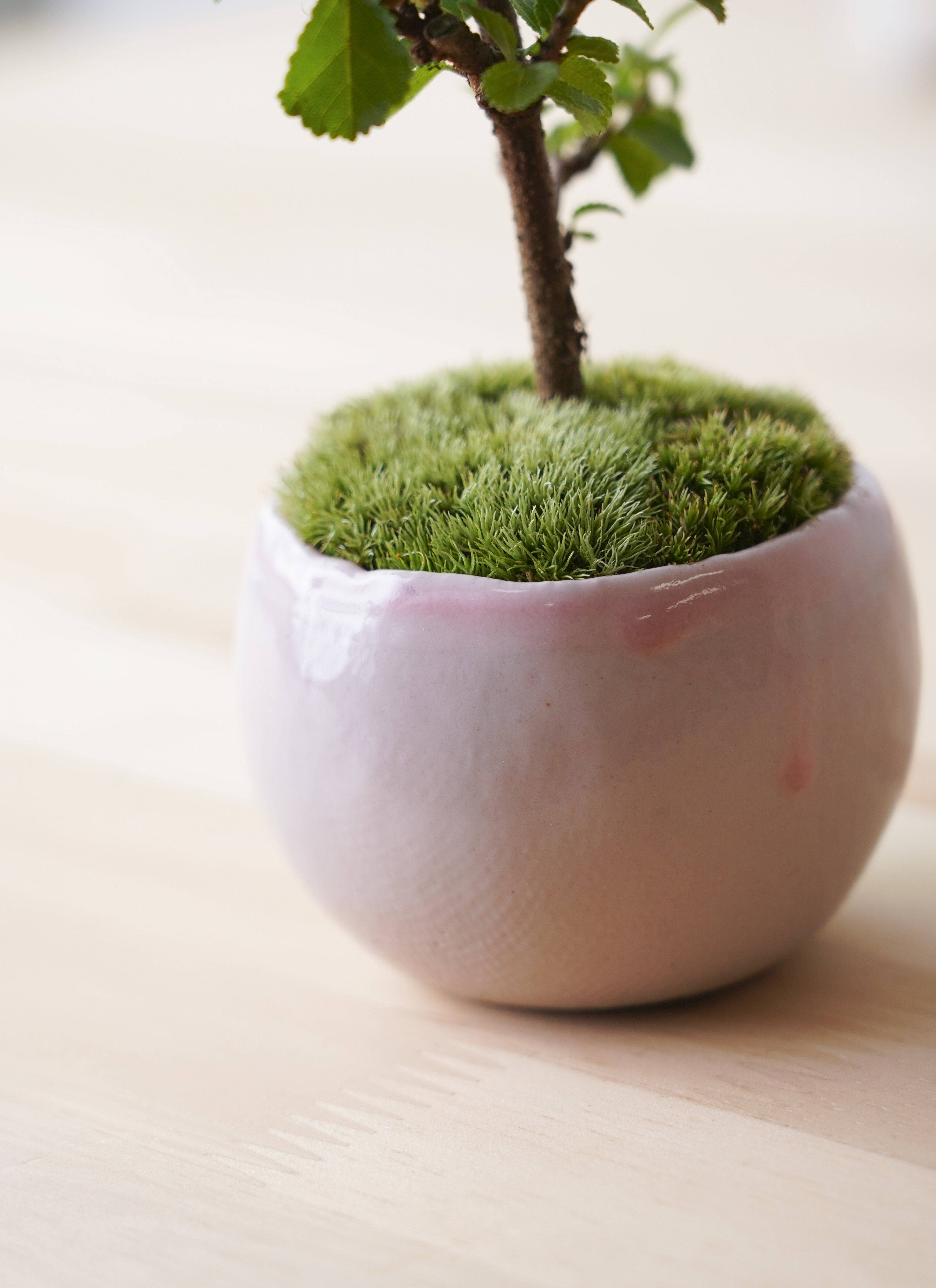 最終価格天山→花模様 植木鉢 内径7cmロング 最終価格天山→花模様 植木鉢 内径7cmロング