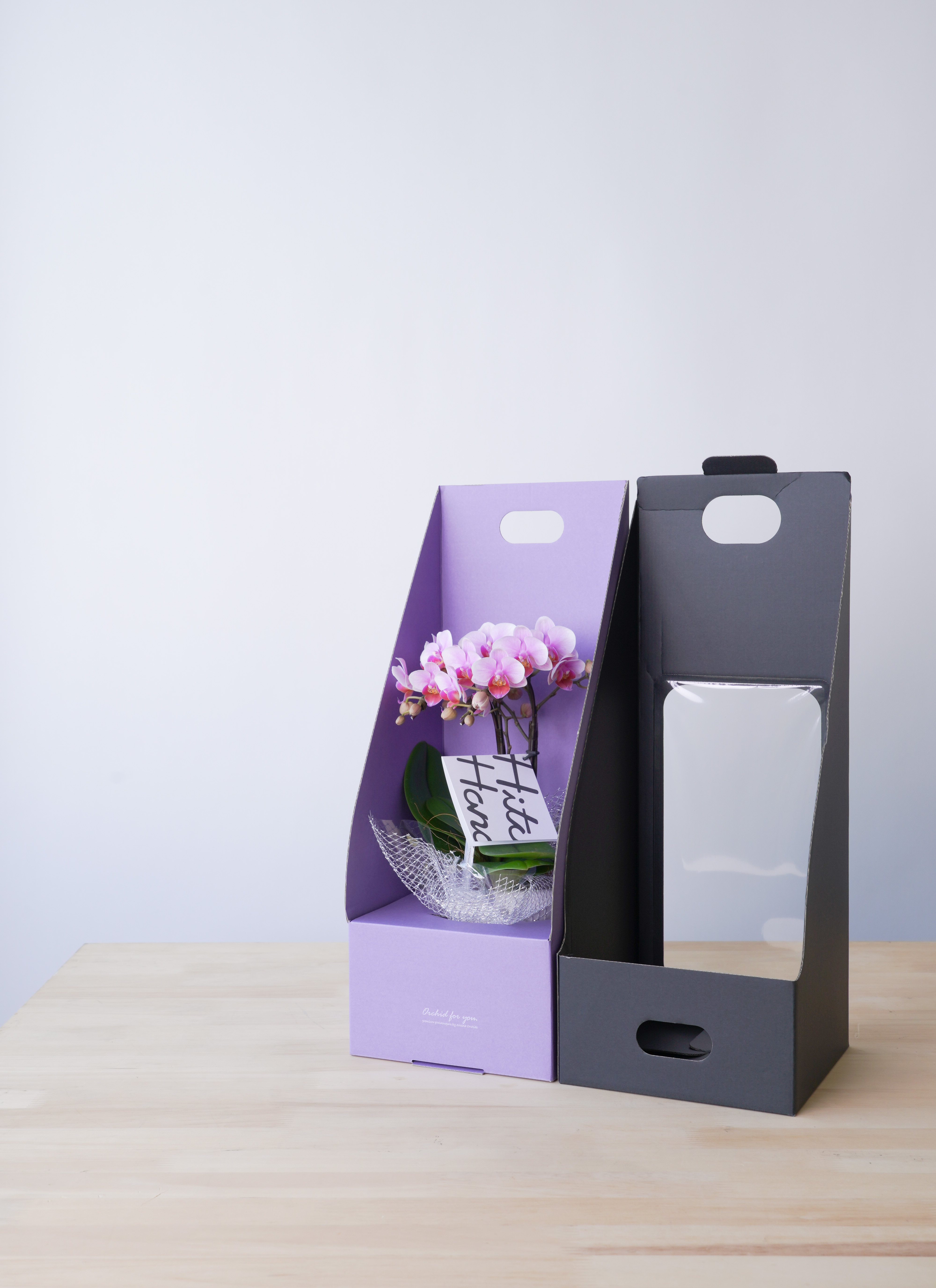 お供え】ミニ胡蝶蘭 ピンク 2本立ち 2WAYボックス | 胡蝶蘭なら