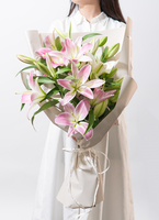 ユリ ds-ytz-oriental-lily-mix-