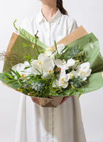 ds-shineseed-phalaenopsis-