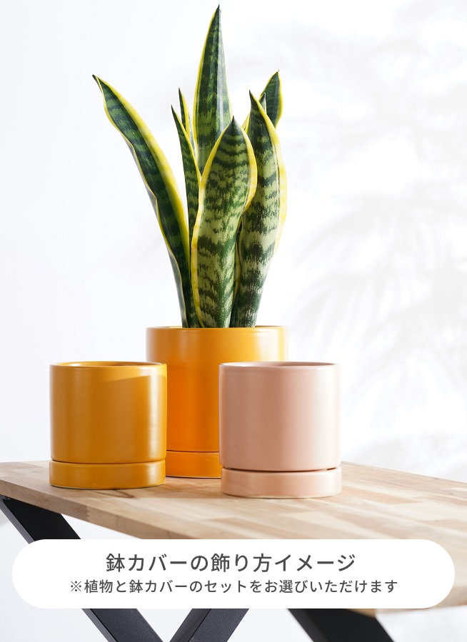 鉢カバー・植木鉢 オーセ 11 P 3号鉢用 #FARM 19014 | 鉢カバー