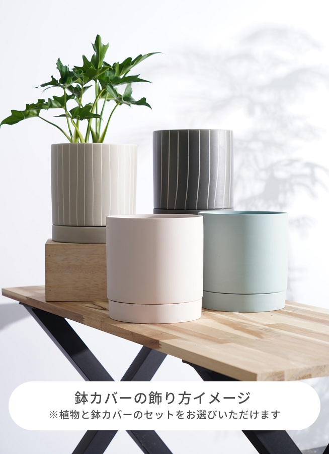 鉢カバー・植木鉢 ドリス 16 B 4号鉢用 #FARM 40060 | 鉢カバー