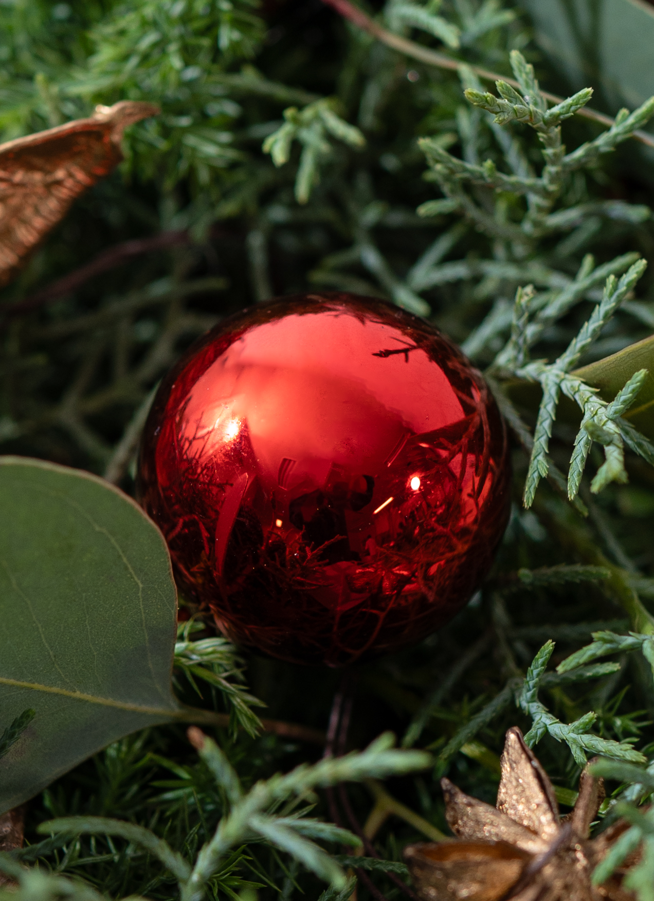 クリスマス てづくりのフレッシュリース レッド L | フラワーリース