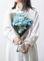 ds-flom-carnation-bundle-blue-