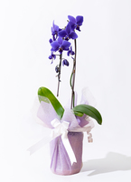 bluegene-4_0001.jpg?1699618822