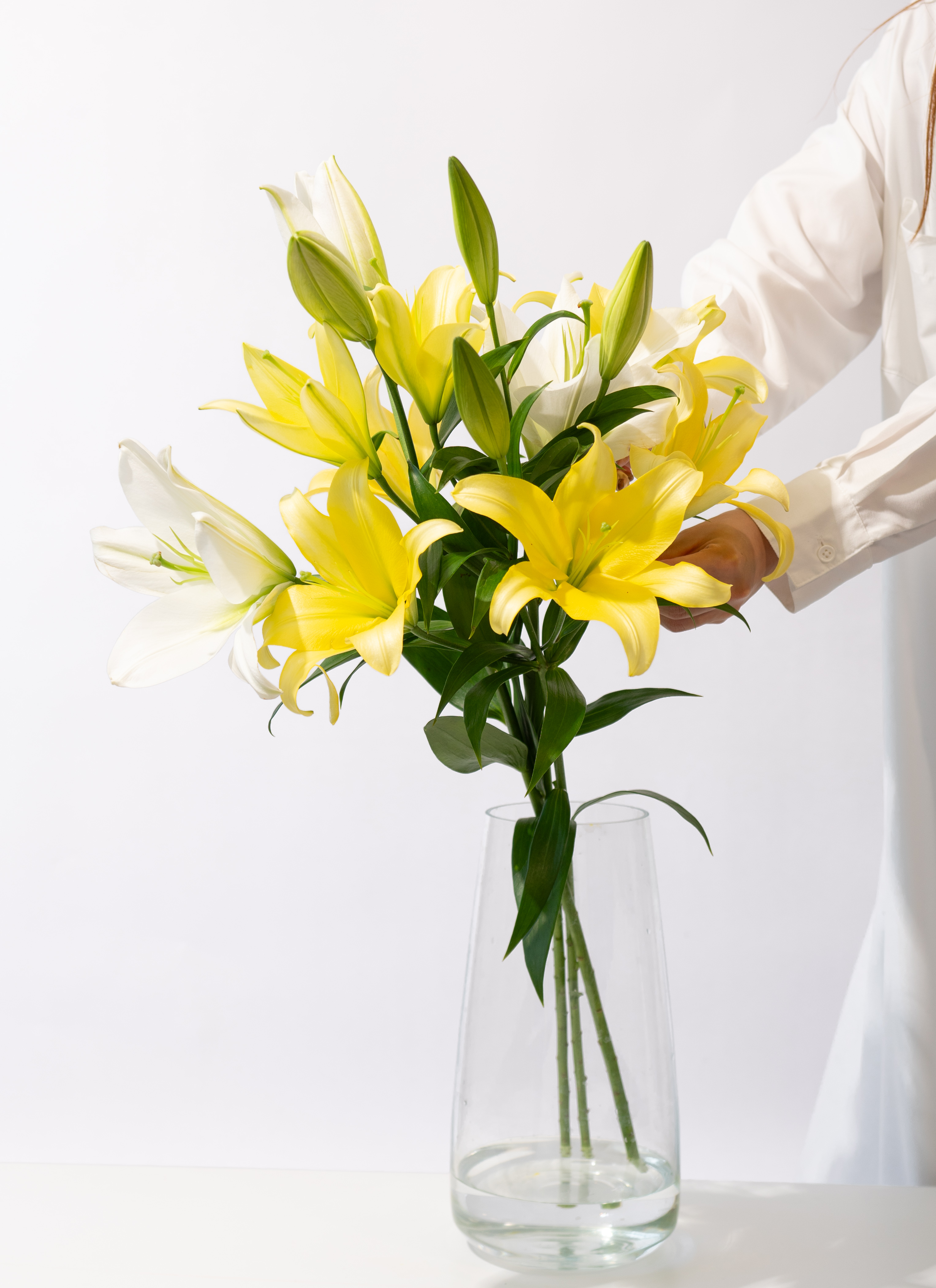 テレーズ、人気！オリジナル交配種(2本植え)、苗、開花株 テレーズ様専用、人気！オリジナル交配種(2本植え)、苗、開花株