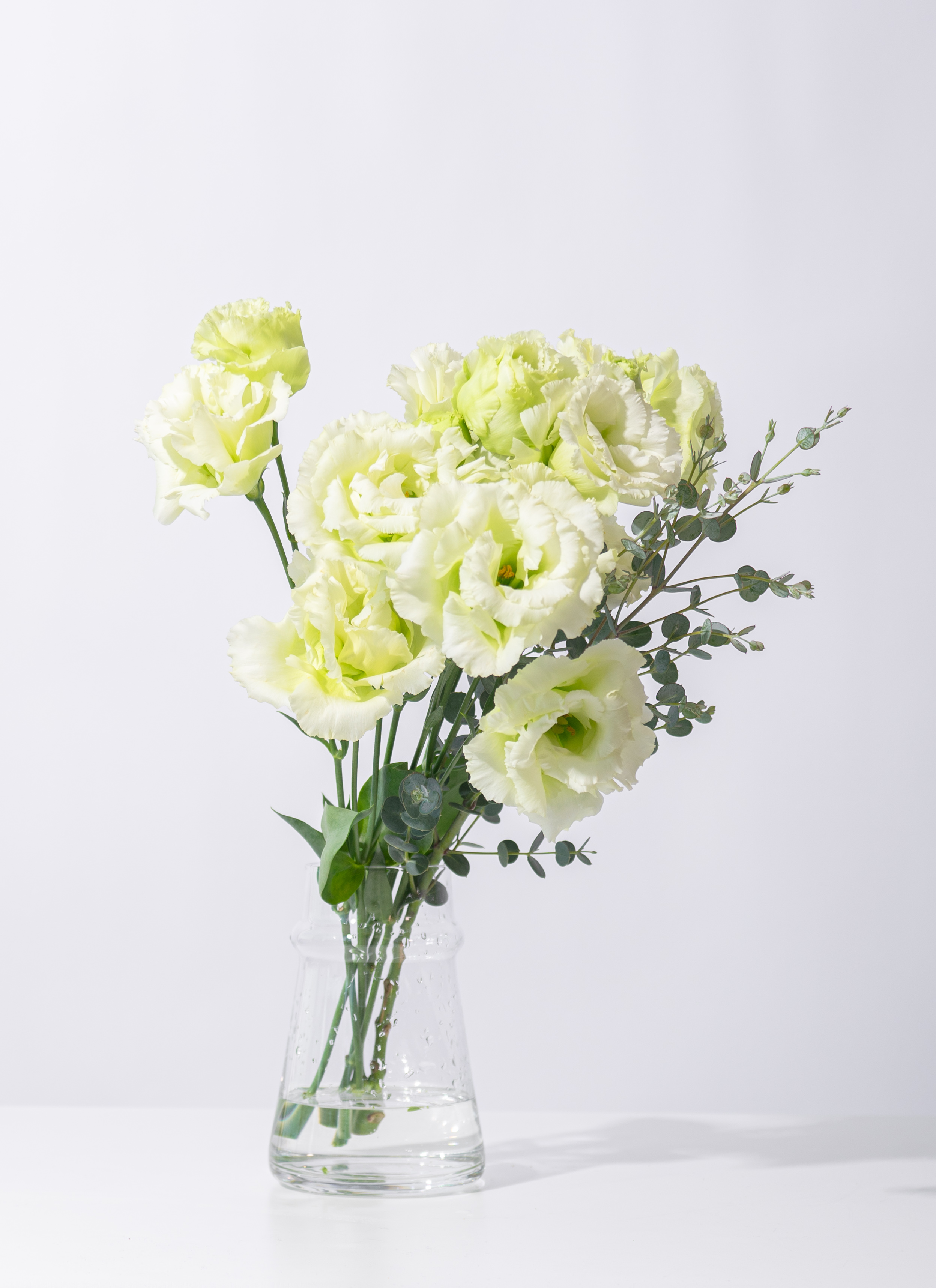 ［march］発送日8/11 140サイズ供花 特注トルコキキョウ・菊他 産地直送 トルコキキョウ花束 グリーン（12輪入り）／佐賀
