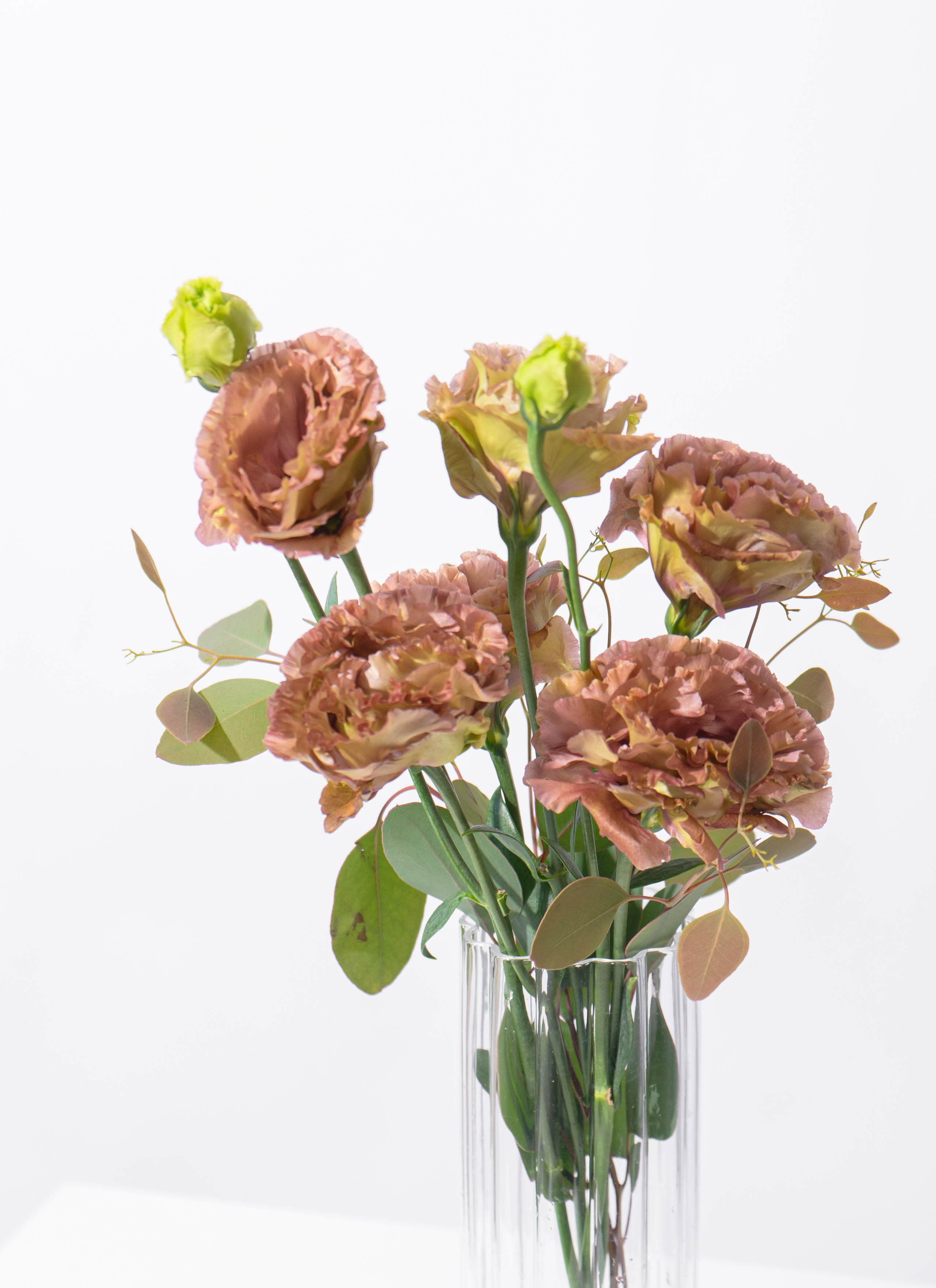 ［小林ヒロシ］トルコキキョウ詰合せ 産地直送 トルコキキョウ花束 ミックス（6輪入り）／佐賀