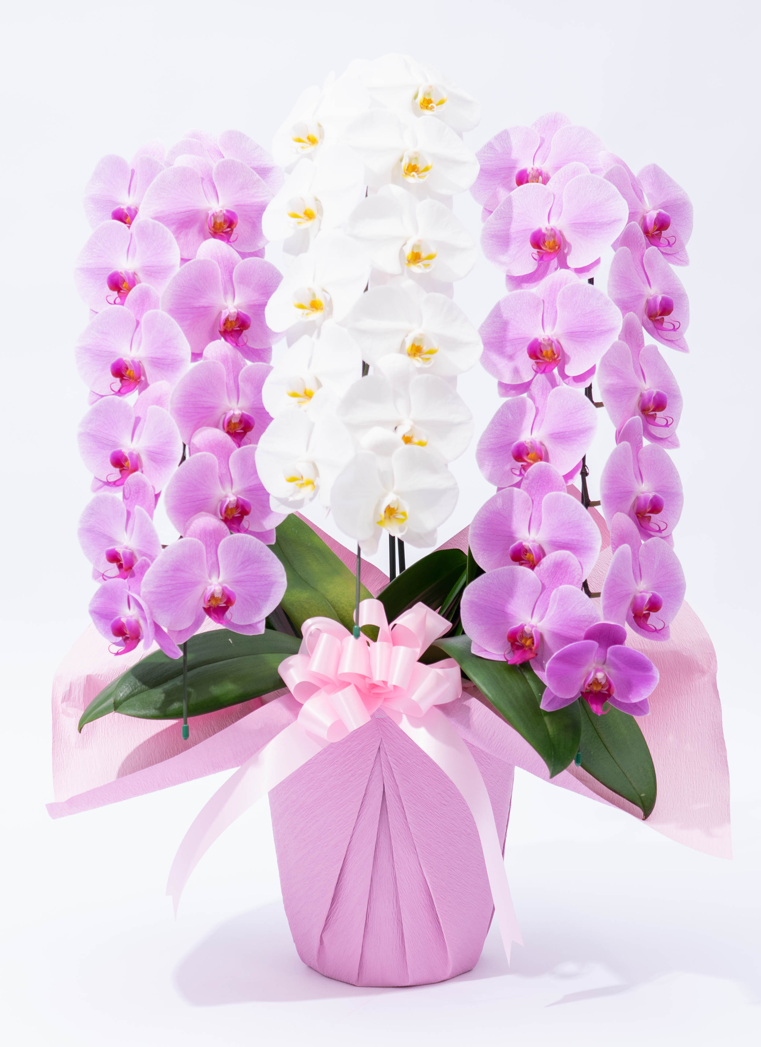 large-flower-mix-4_0001.jpg?