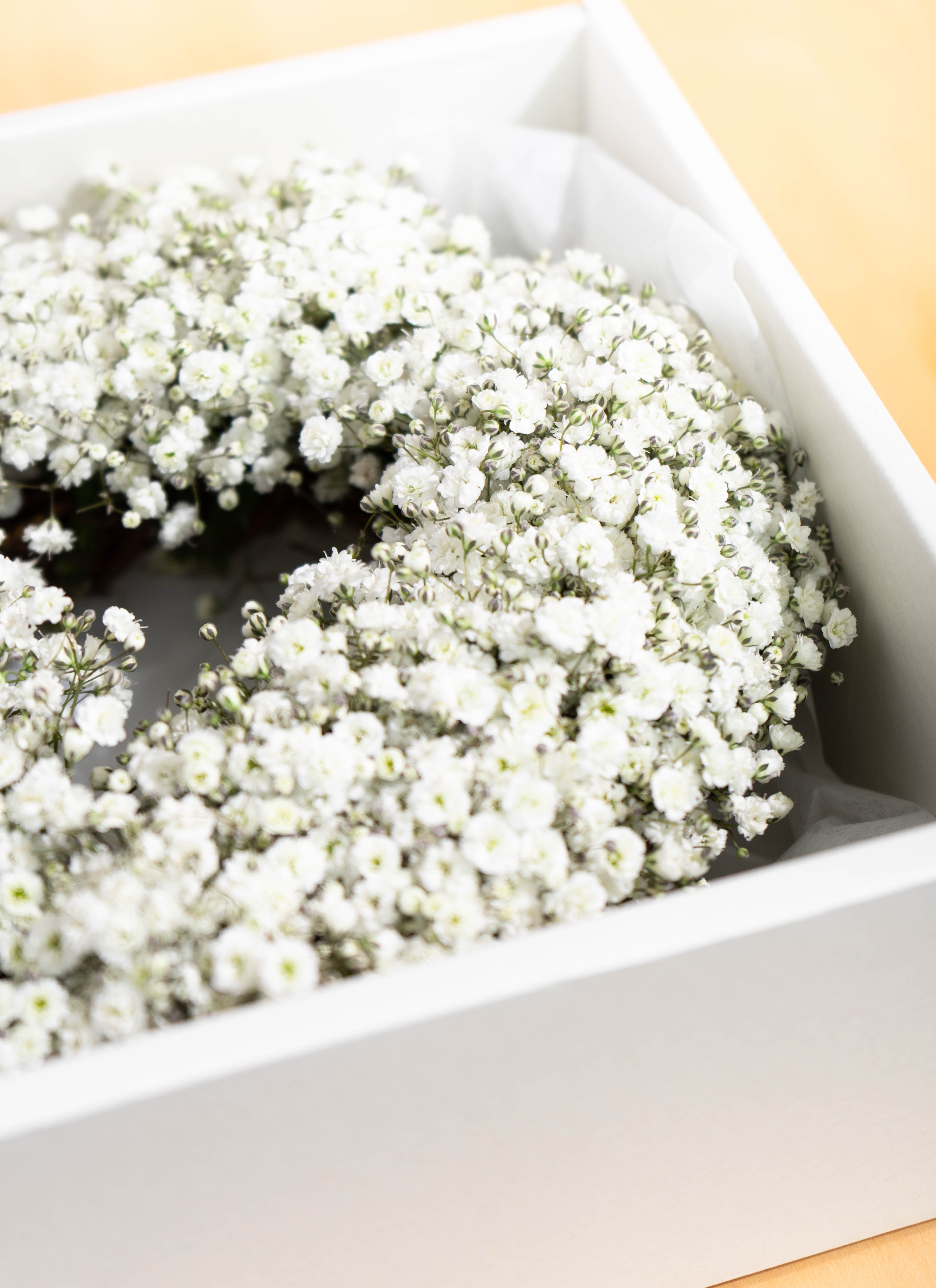 かすみ草入荷今だけリースかすみ草