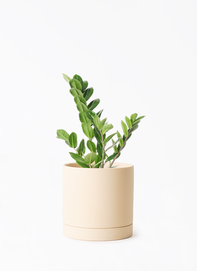 クトウテン　鉢のみ　植物はつきません 前回わずか3分で完売した「QUTOTEN.」の植木鉢10月23日(日)19:00