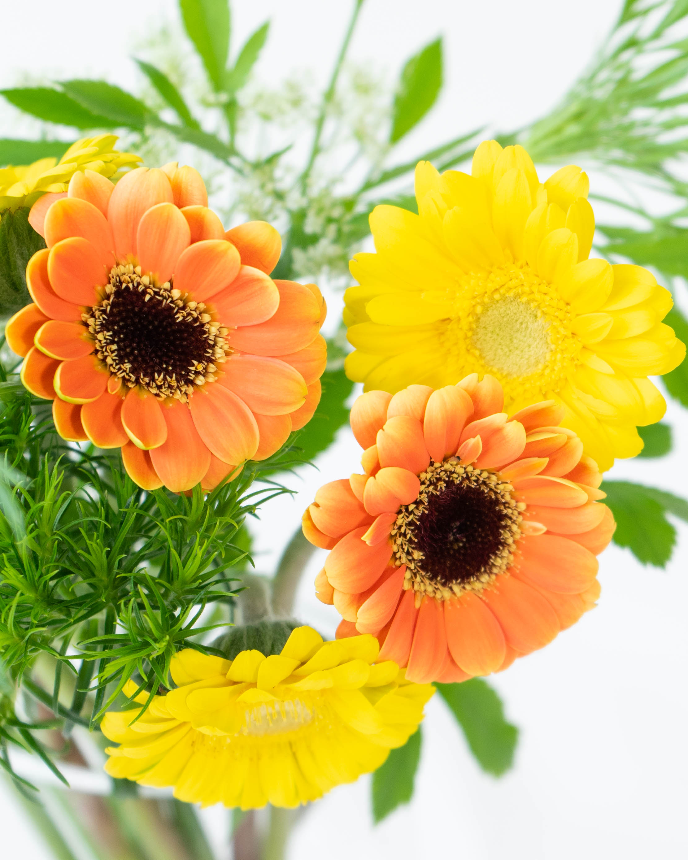 産地直送 ガーベラ花束 草花ミックス イエロー・オレンジ／千葉