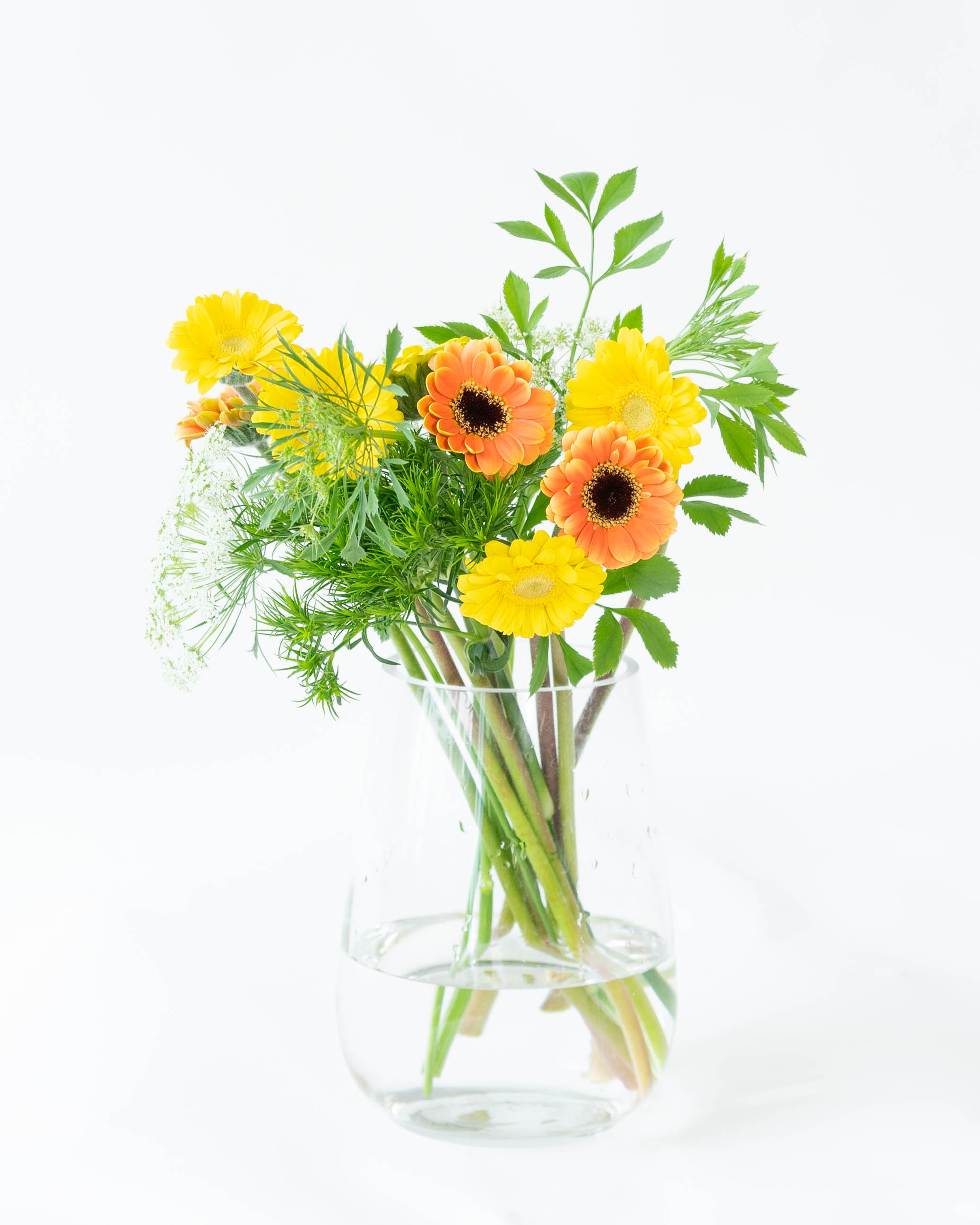 らいきブラハウス割烹着4着（くまさん、草花、ひつじさん、ガーベラ） 産地直送 ガーベラ ミックス 15本束／静岡 松下園芸からお届け