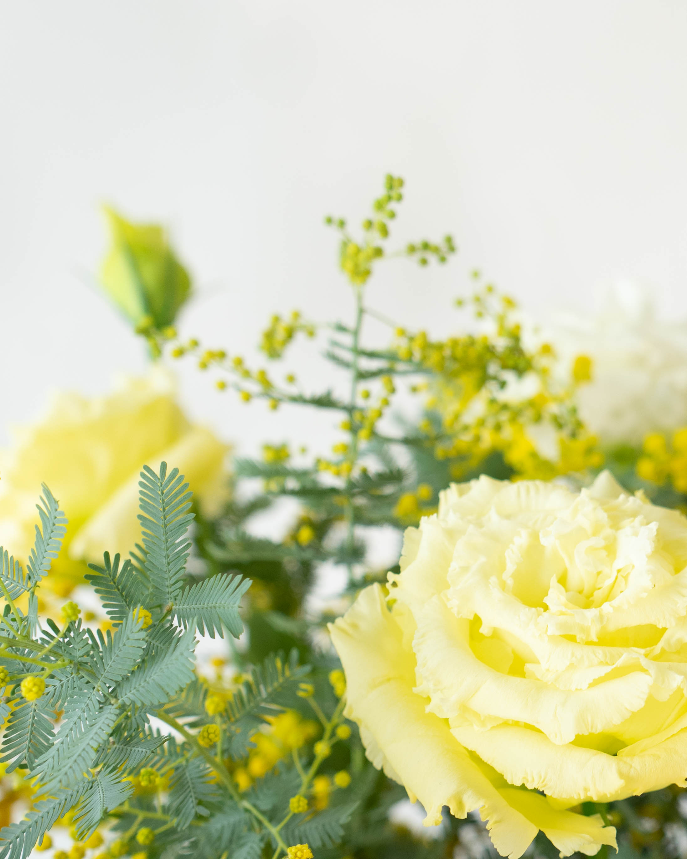 産地直送 ミモザ＆トルコキキョウ花束 ミックス L／佐賀 KOMATSU