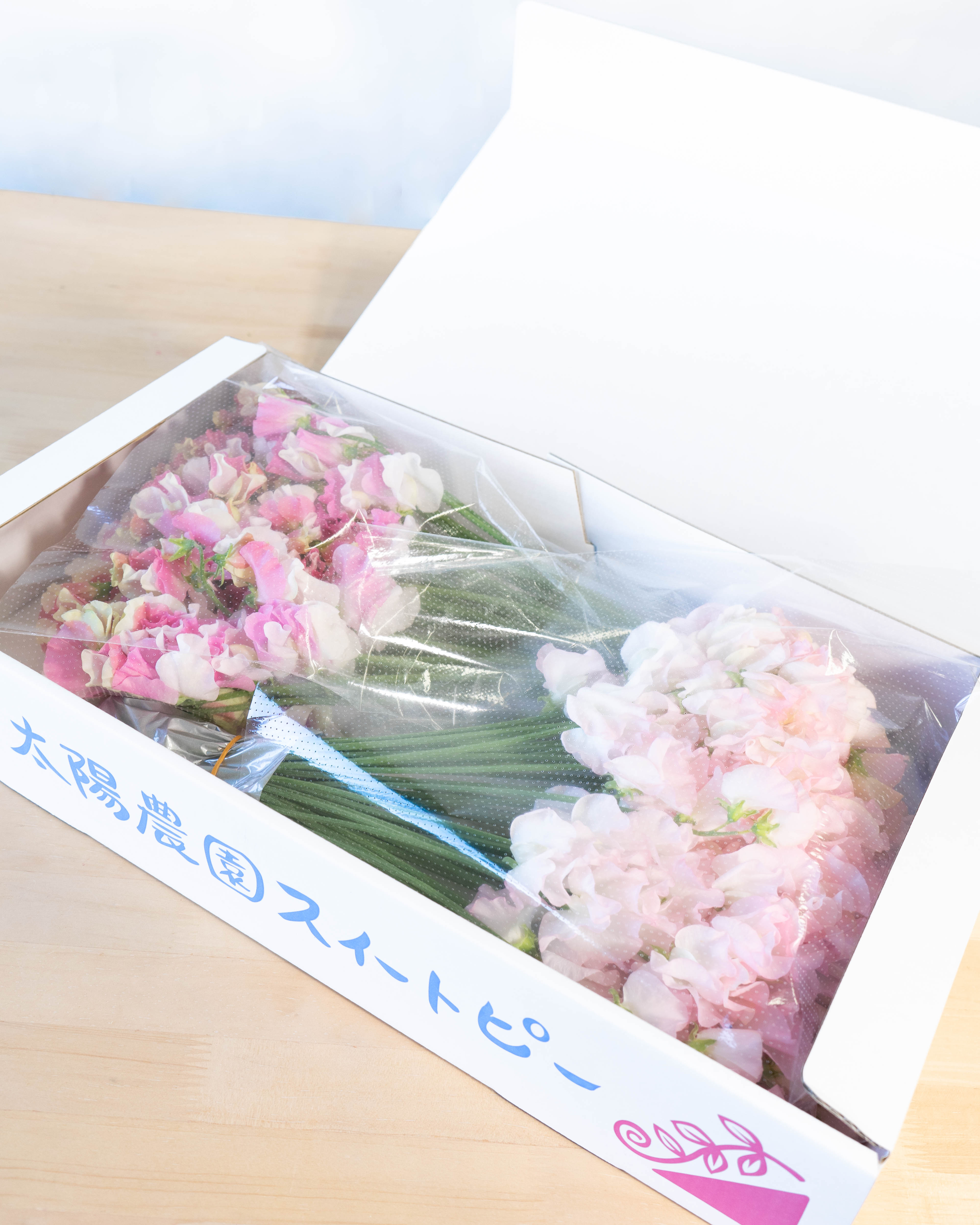 産地直送 スイートピー花束 ピンクL 産直箱（100本入り）／宮崎 太陽