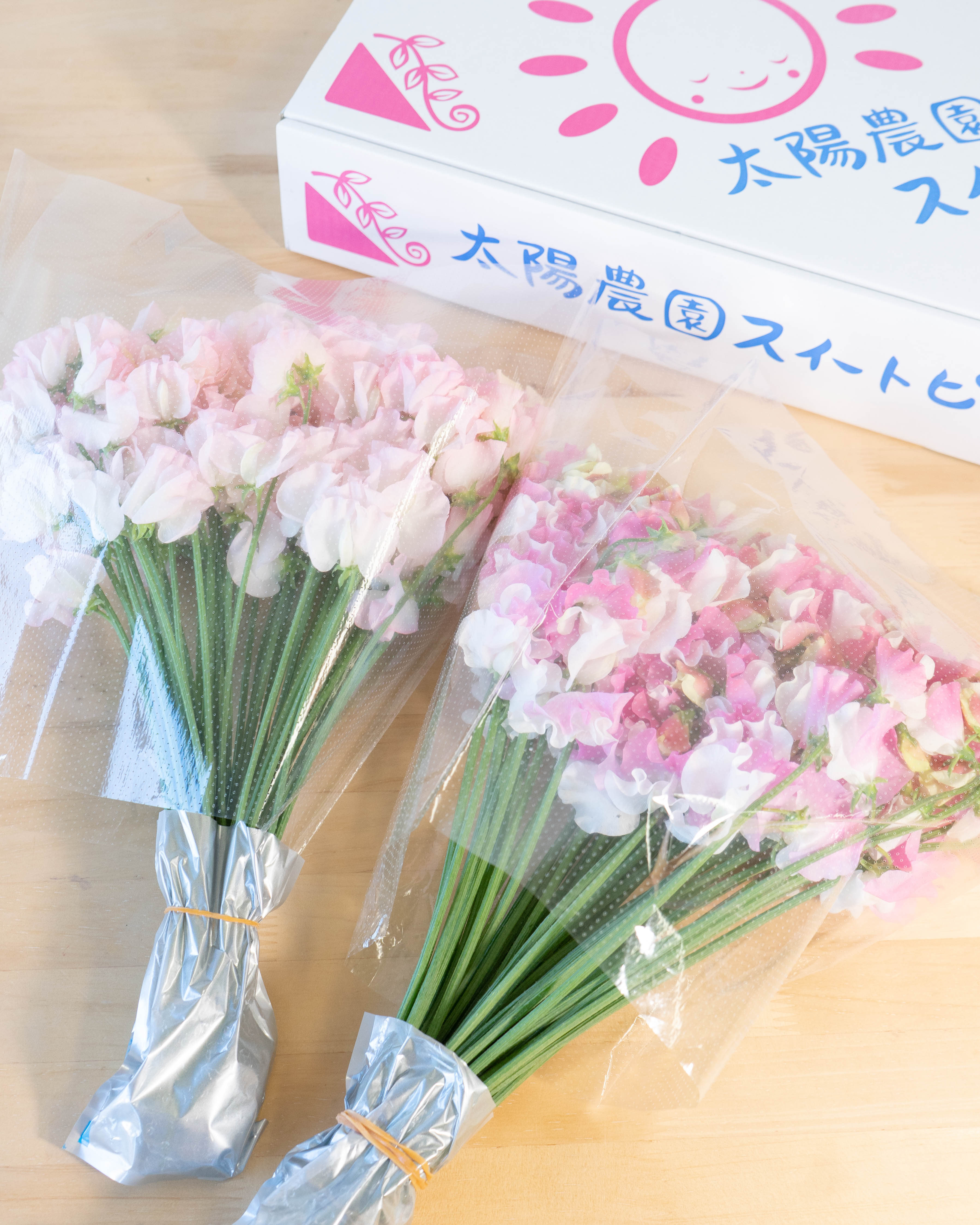 産地直送 スイートピー花束 ピンクL 産直箱（100本入り）／宮崎 太陽
