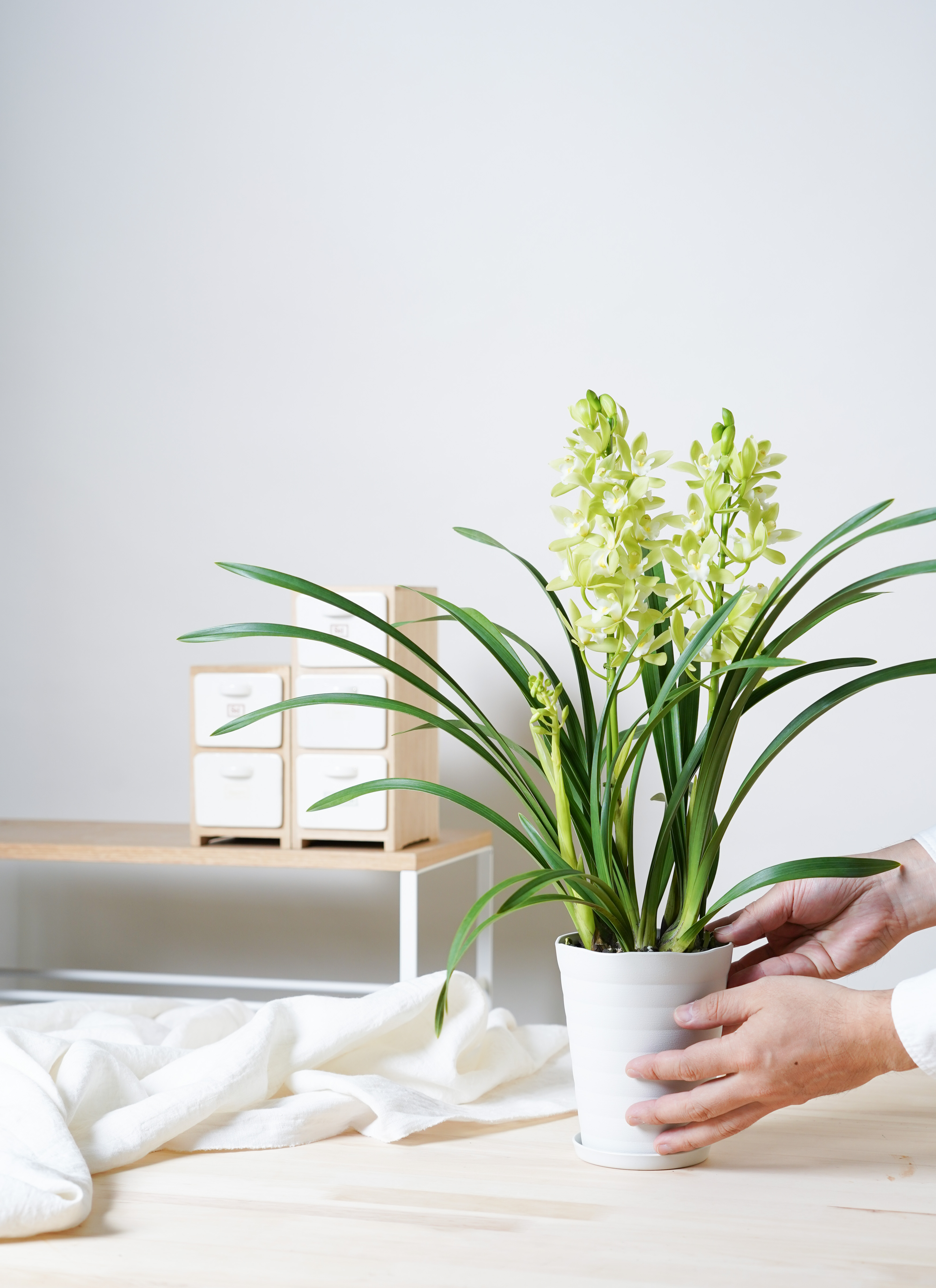 加工60×75 2枚 100×178 2枚お花大きめ グリーン 緑 柄 2枚 人工 観葉植物 フェイク グリーン アレカパーム H約175cm 大型