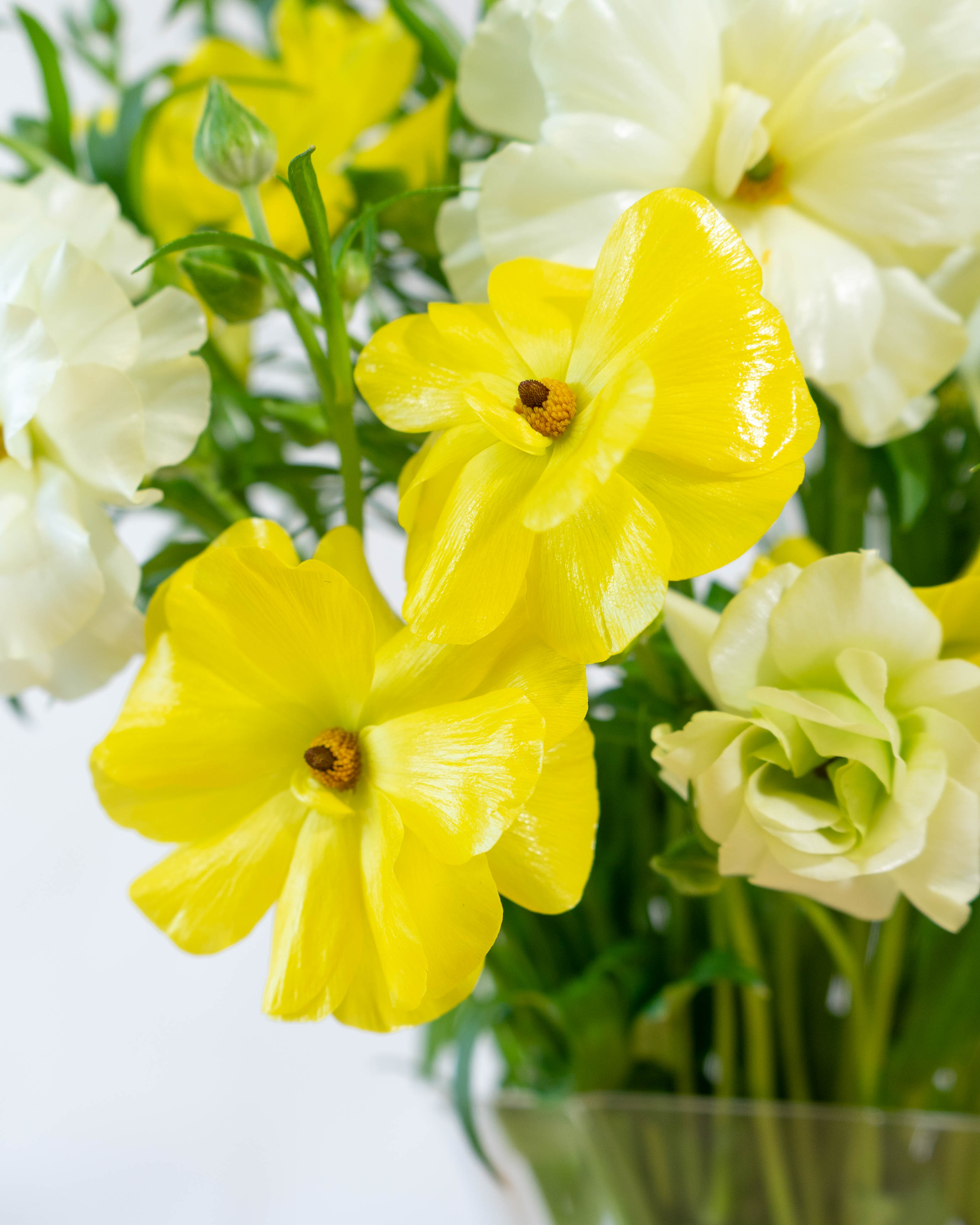 【ご確認用】ドライフラワーꕤ︎︎ひまわりバラ、ラナンキュラスのスワッグꕤ︎︎花束 ご確認用】ドライフラワーꕤ︎︎ひまわりバラ、ラナンキュラスの