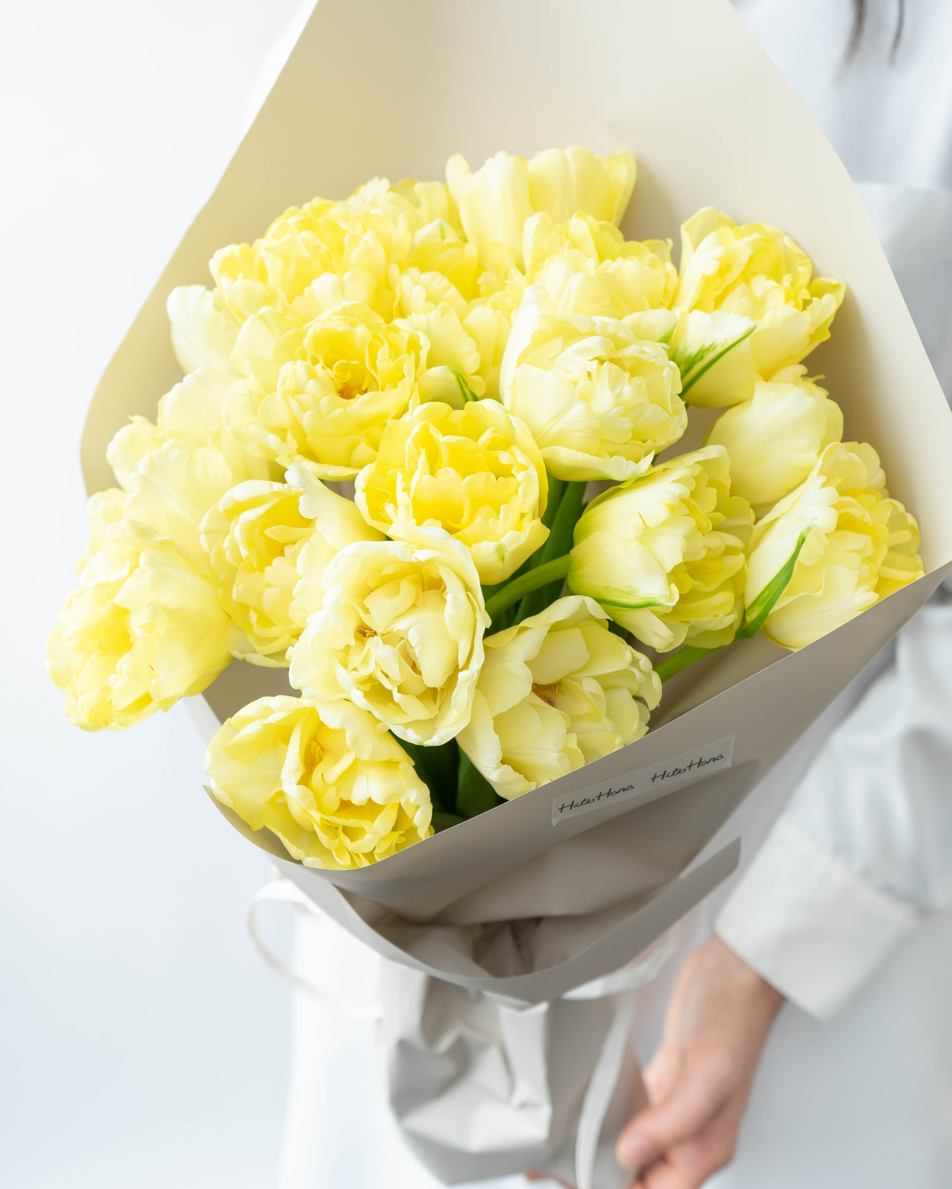 ascaチューリップ(黄色)12本入り×2箱 産地直送 チューリップ 花束 アバンガード（20本入り）／富山 富山県