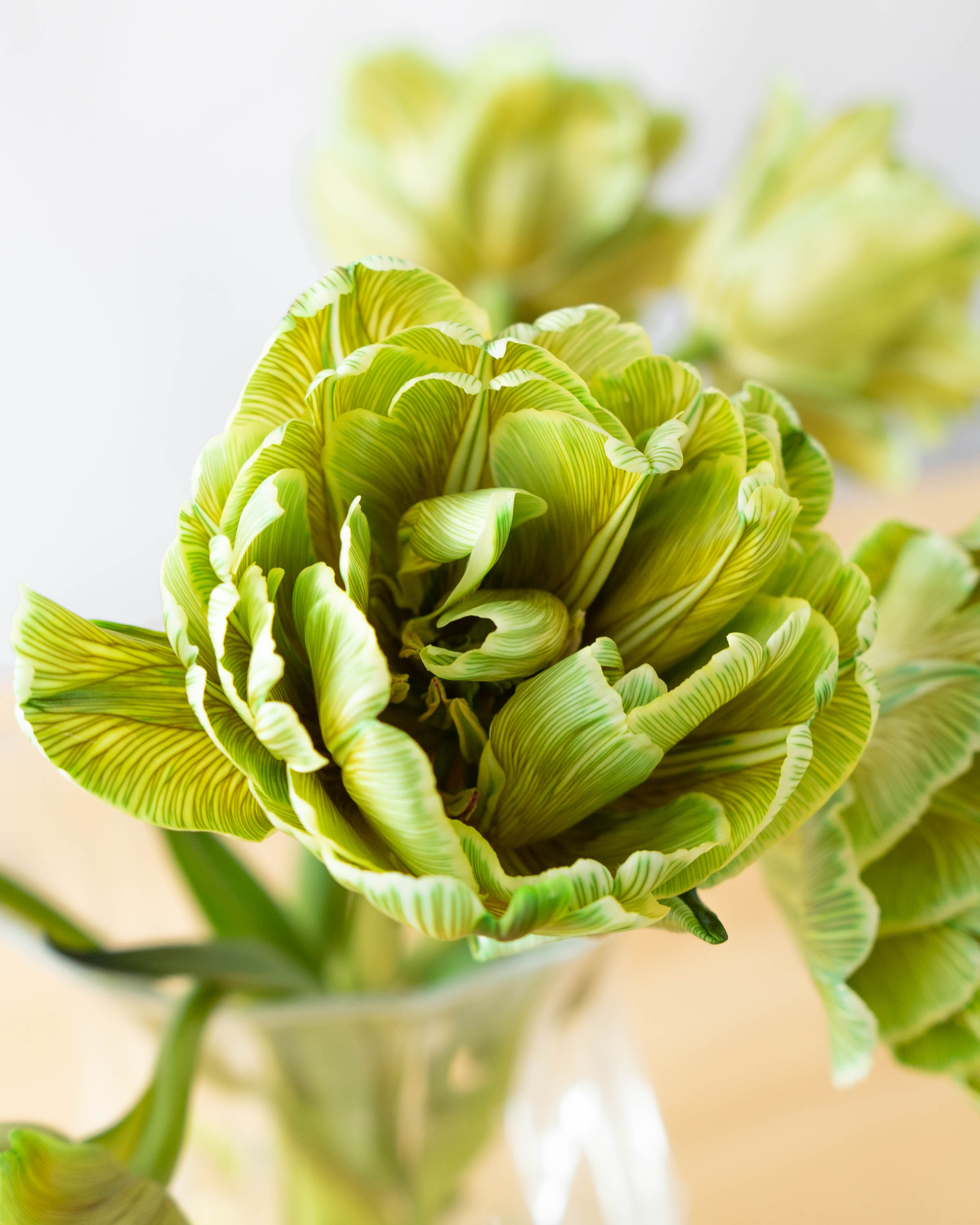 産地直送 チューリップ 花束 染めグリーン（10本入り）／富山 富山県