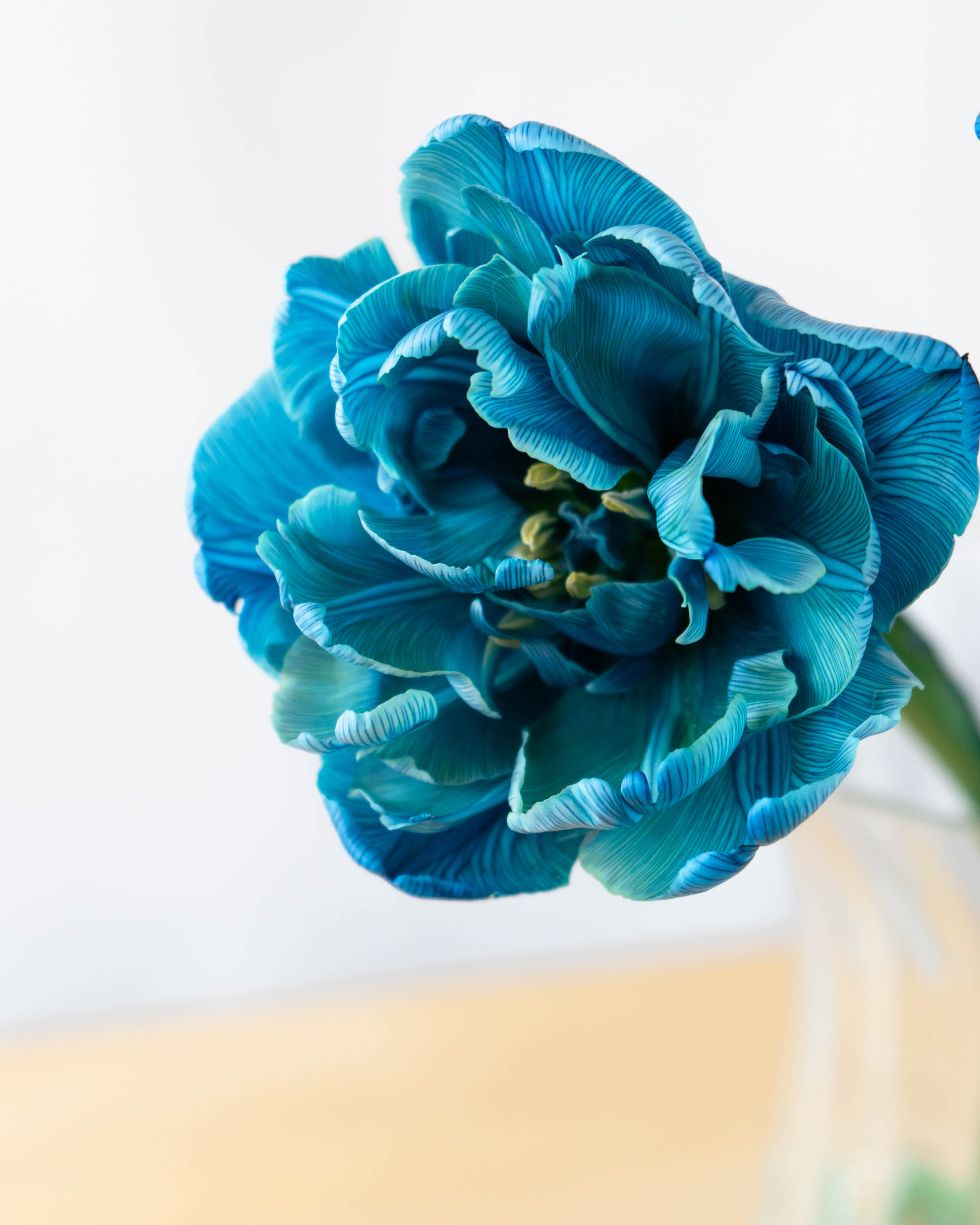 peony様　リピオーダーカゴ peony様 リピオーダーカゴ peony様 リピオーダーカゴ