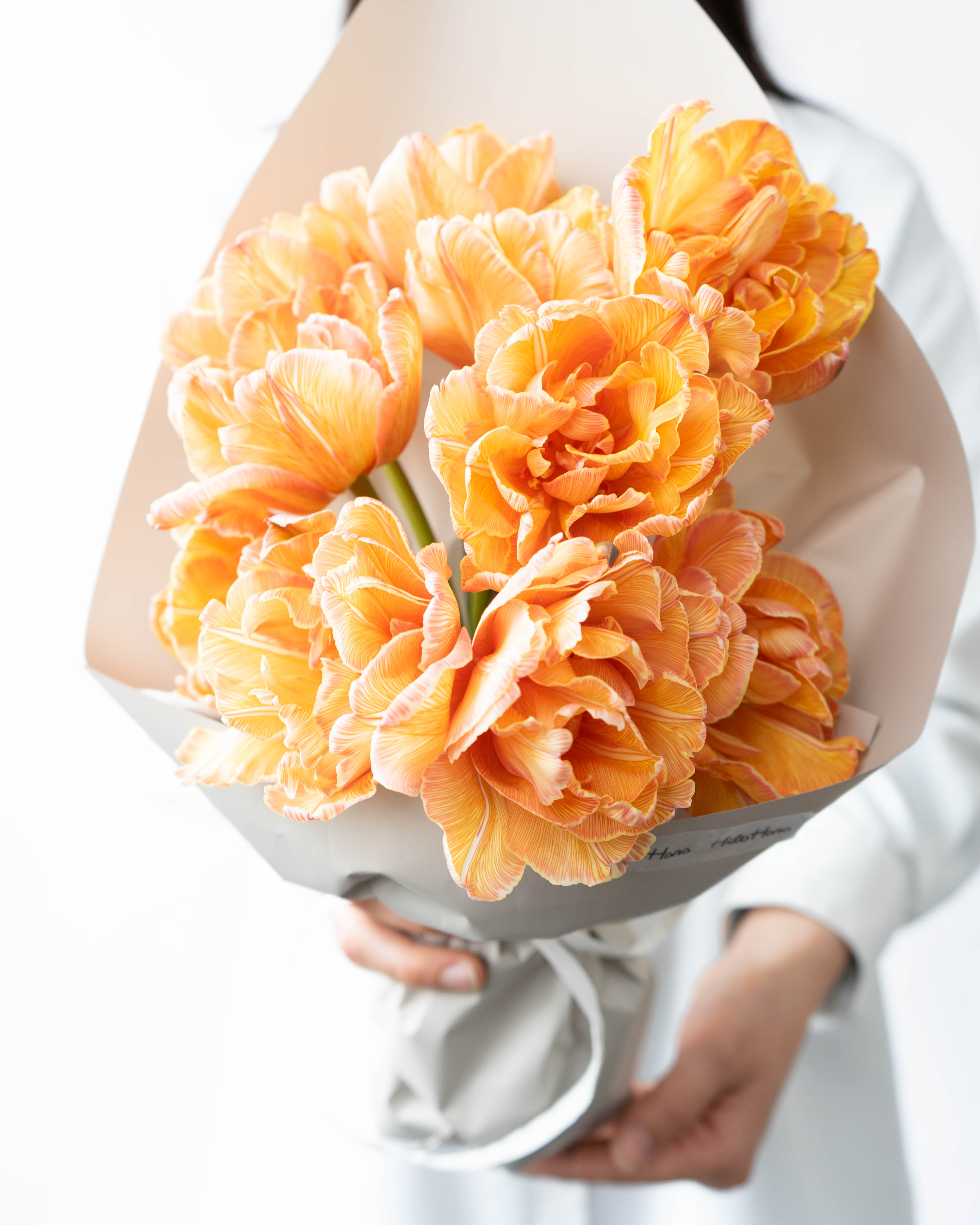 産地直送 チューリップ 花束 染めモカ（10本入り）／富山 富山県花卉