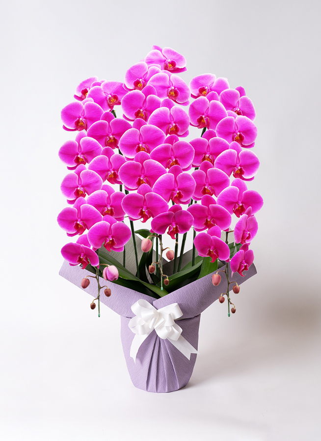 香蘭社 花瓶 花 華 バラ ローズ ピンク 希少 レア 香蘭社 花瓶 花 華