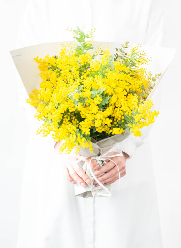 ds-hagishima-mimosa-bundle- ds-hagishima-mimosa-bundle-