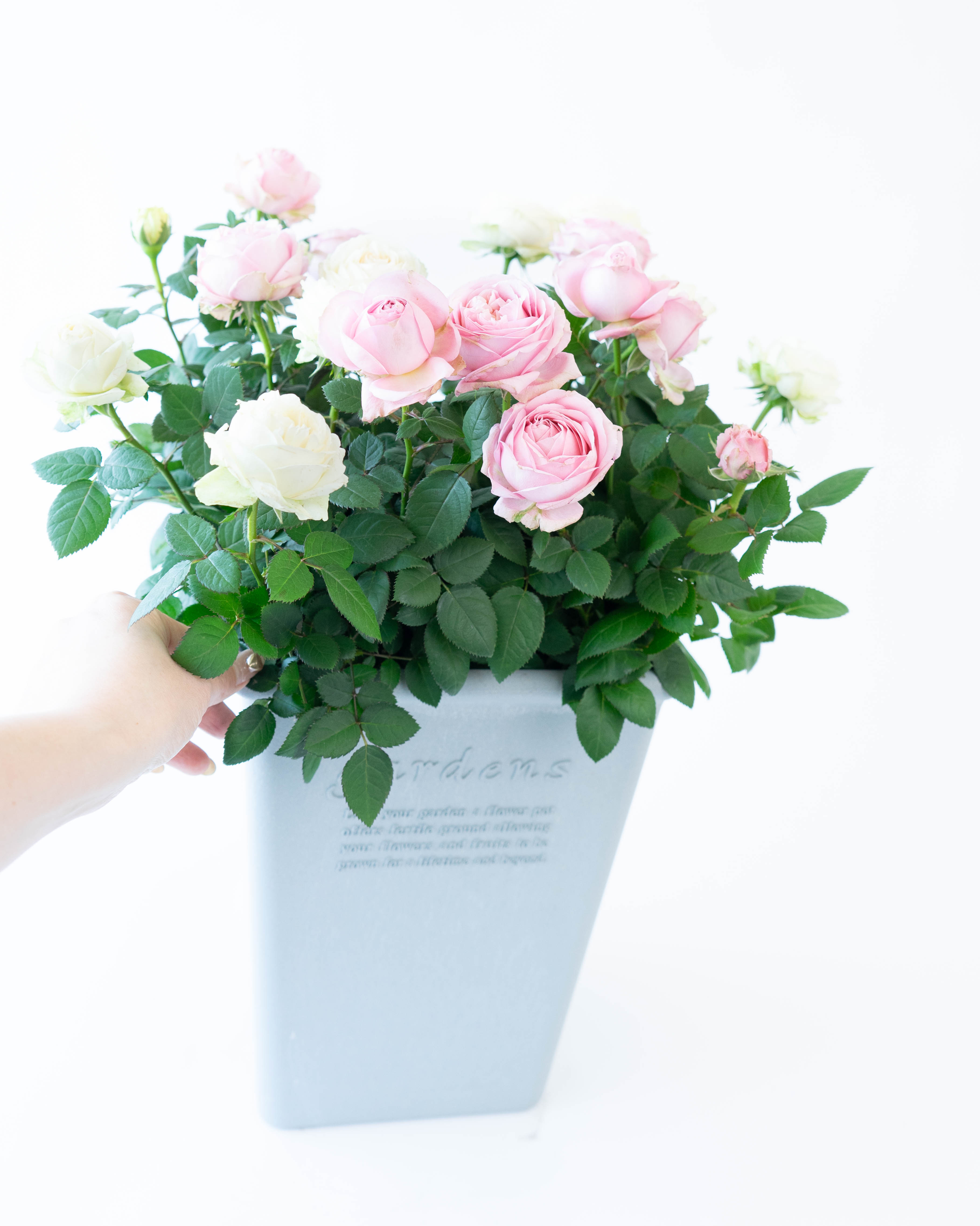 ＊やっちゃん様お取置き7./1＊ローズクォーツ　薔薇　パープルマイカ　マイカイン MA・YO・KE・】マイカインローズクォーツ×オニキス×ローズクォーツ